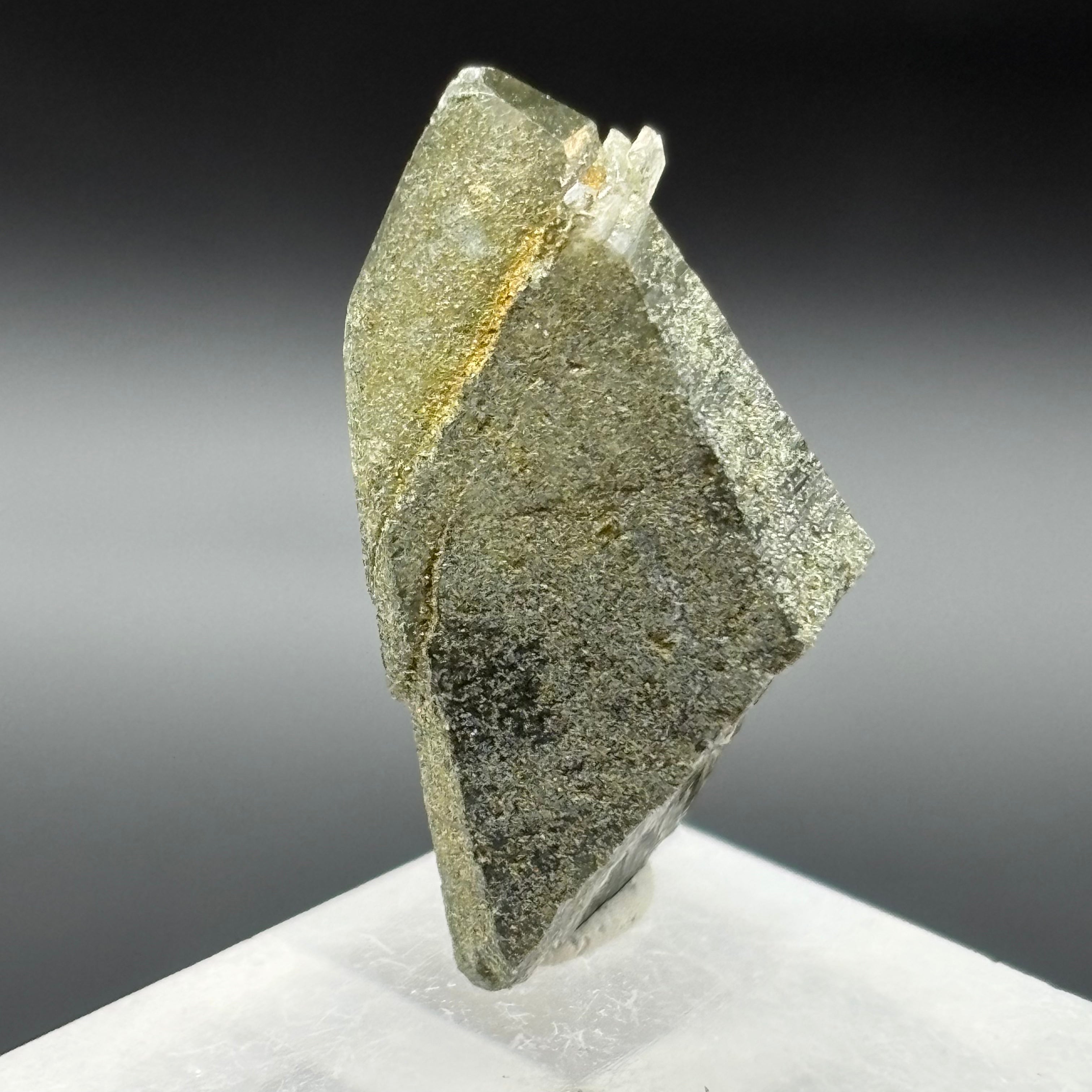 Himalayan Chlorite Quartz Point - 079