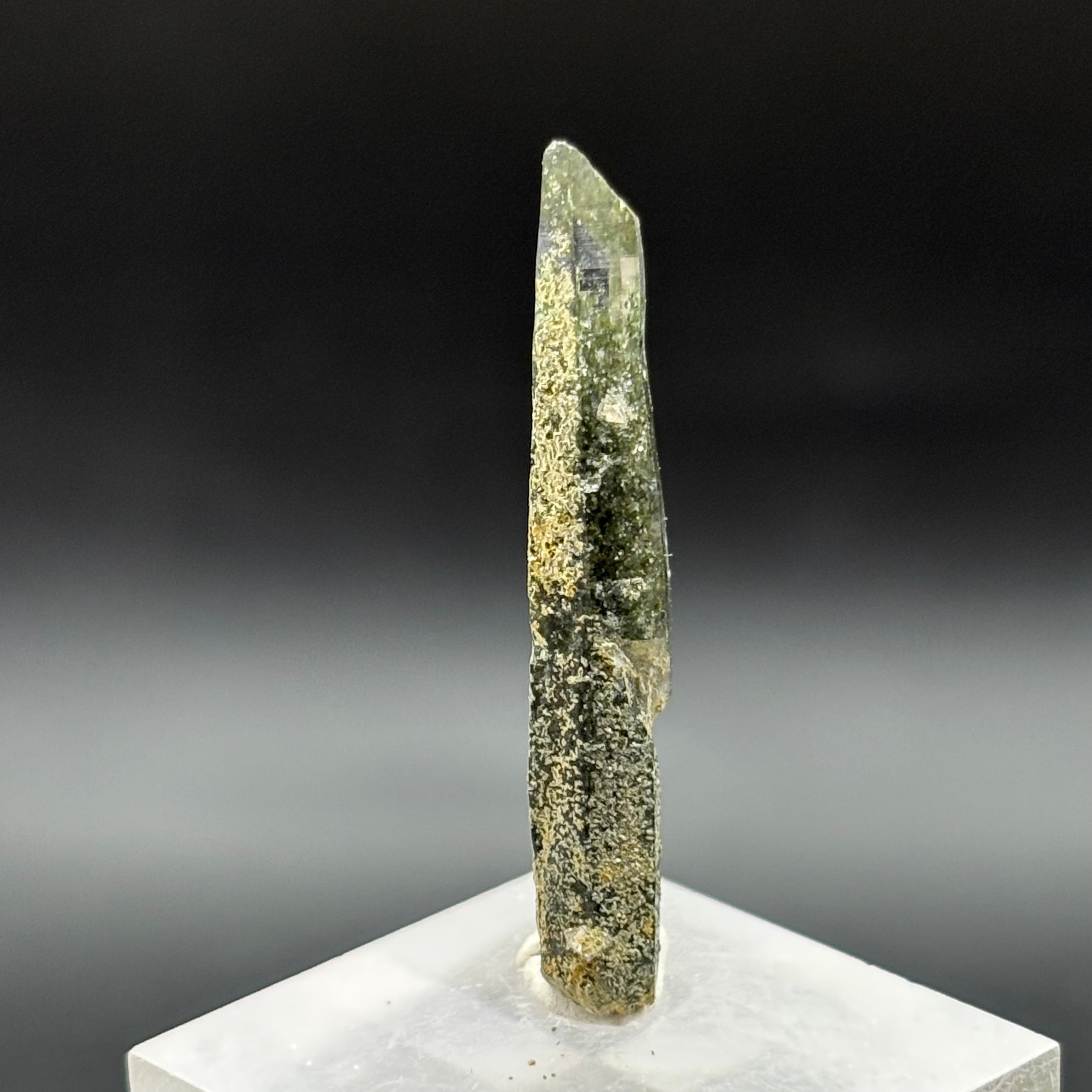 Himalayan Chlorite Quartz Point - 082