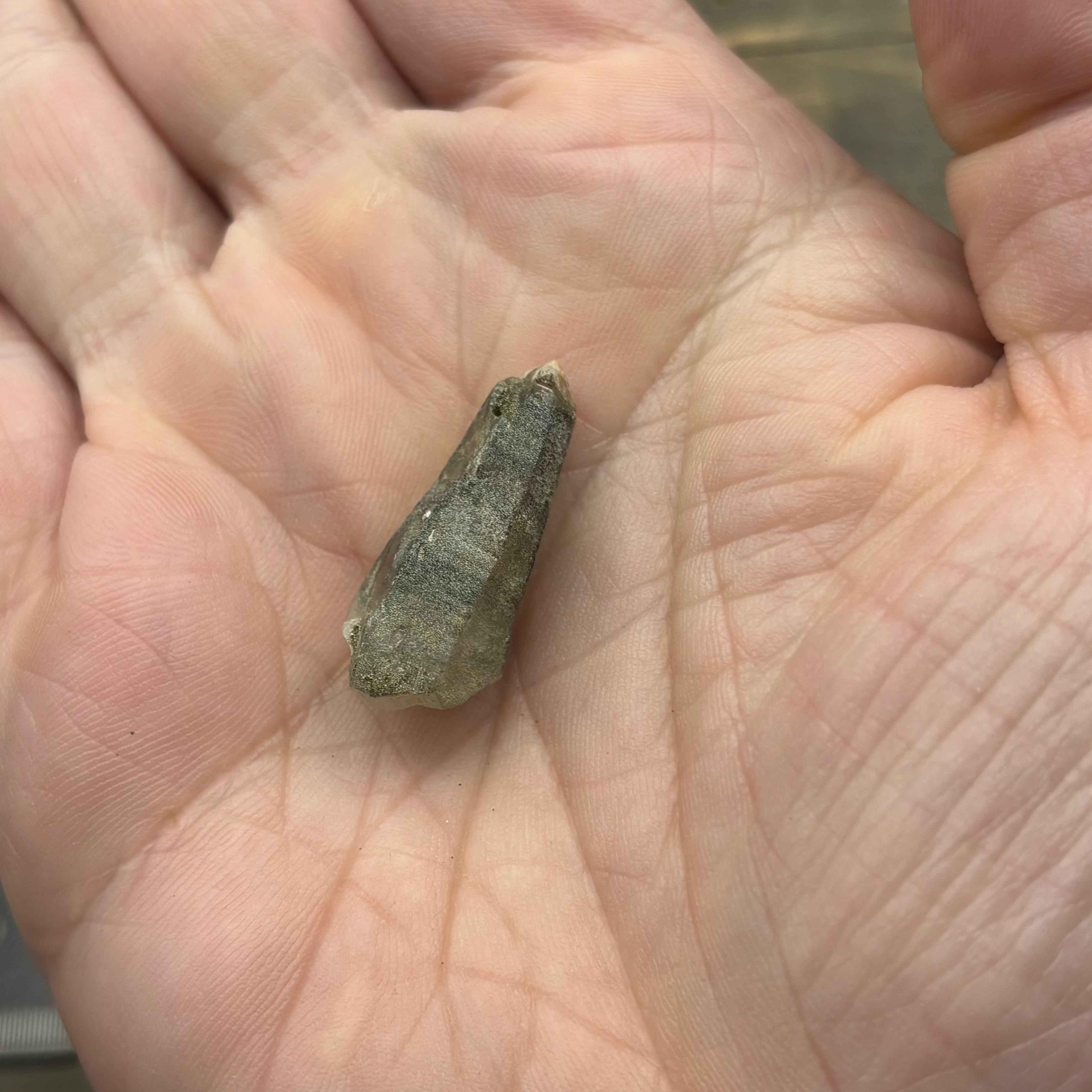 Himalayan Chlorite Quartz Point - 083
