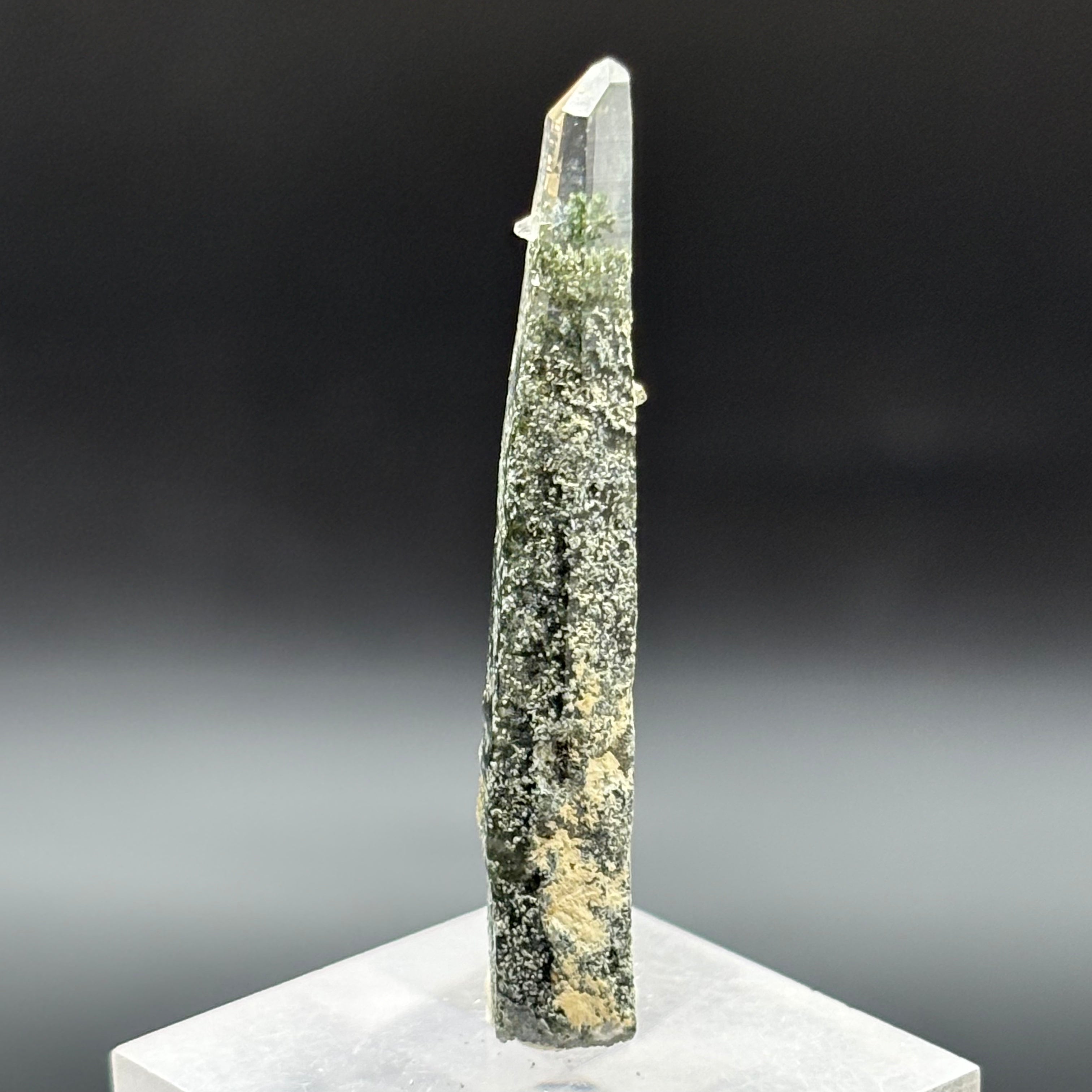Himalayan Chlorite Quartz Point - 091