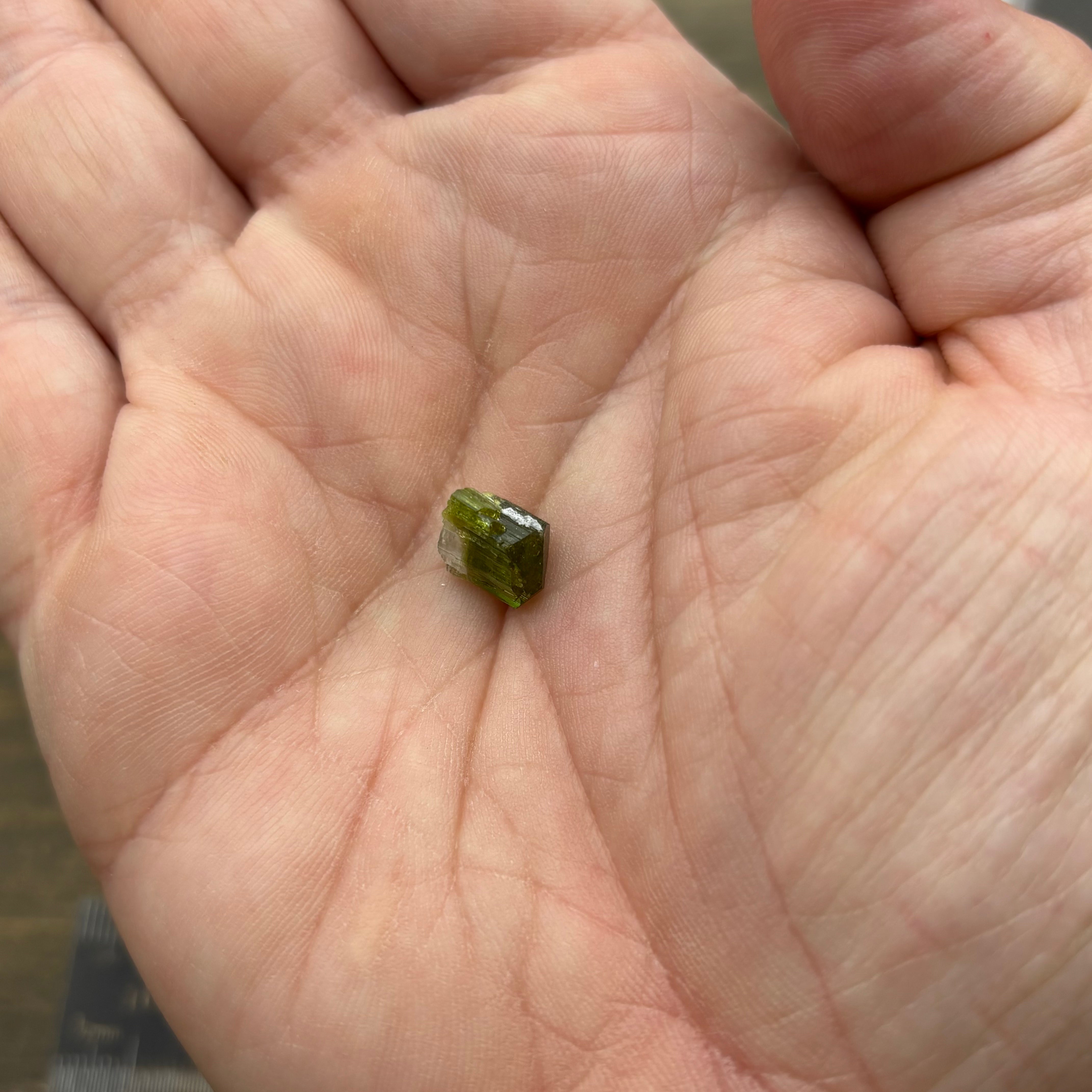 Green Tourmaline Crystal - 303