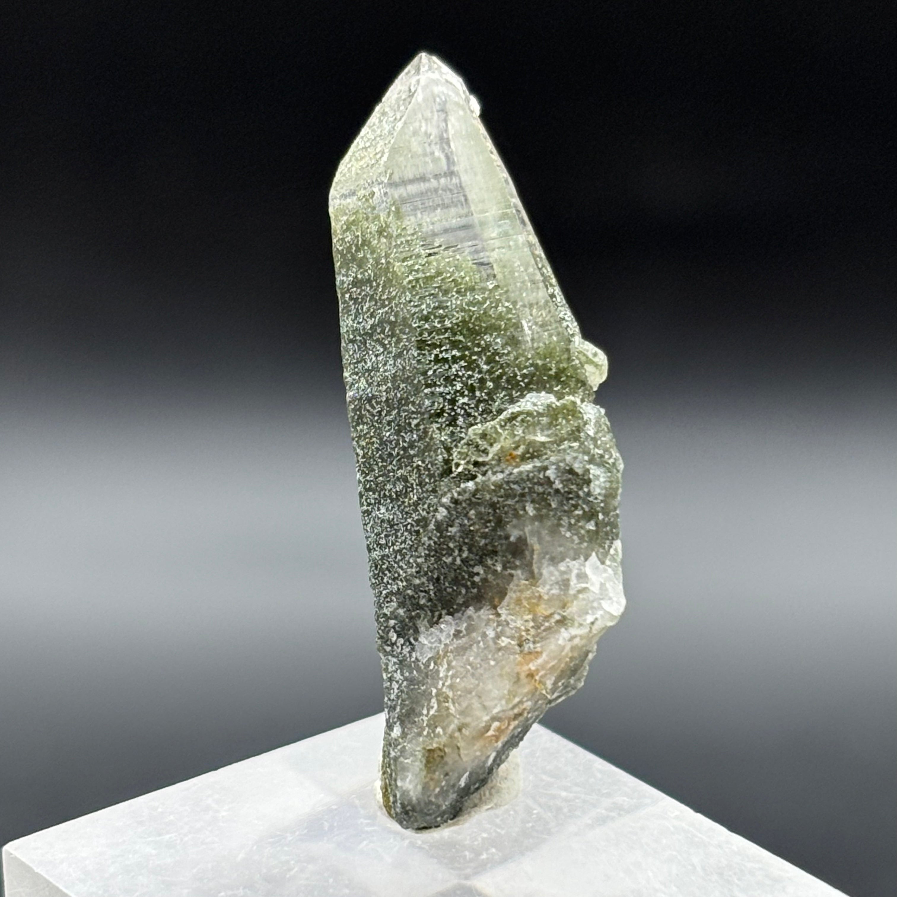Himalayan Chlorite Quartz Point - 099