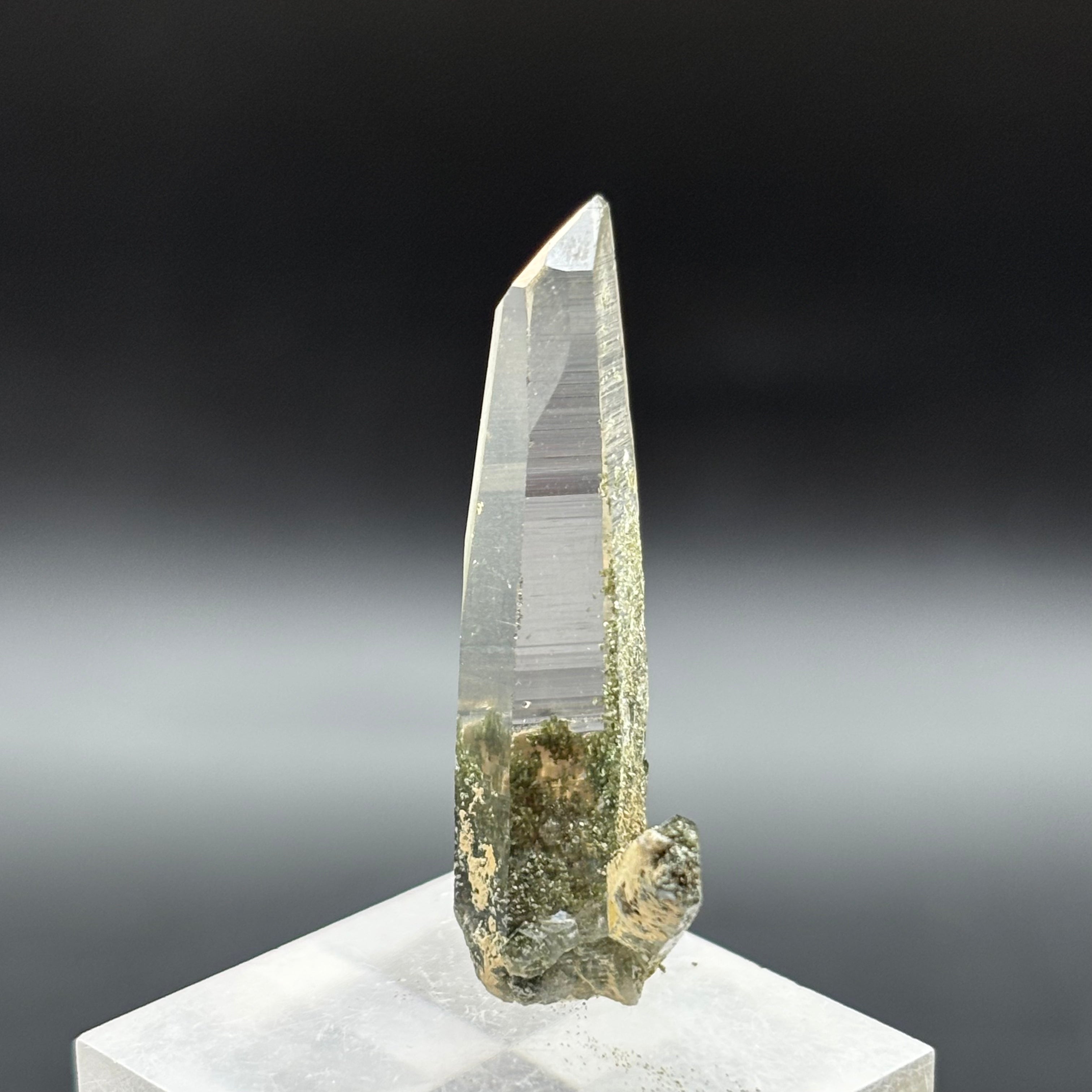 Himalayan Chlorite Quartz Point - 100