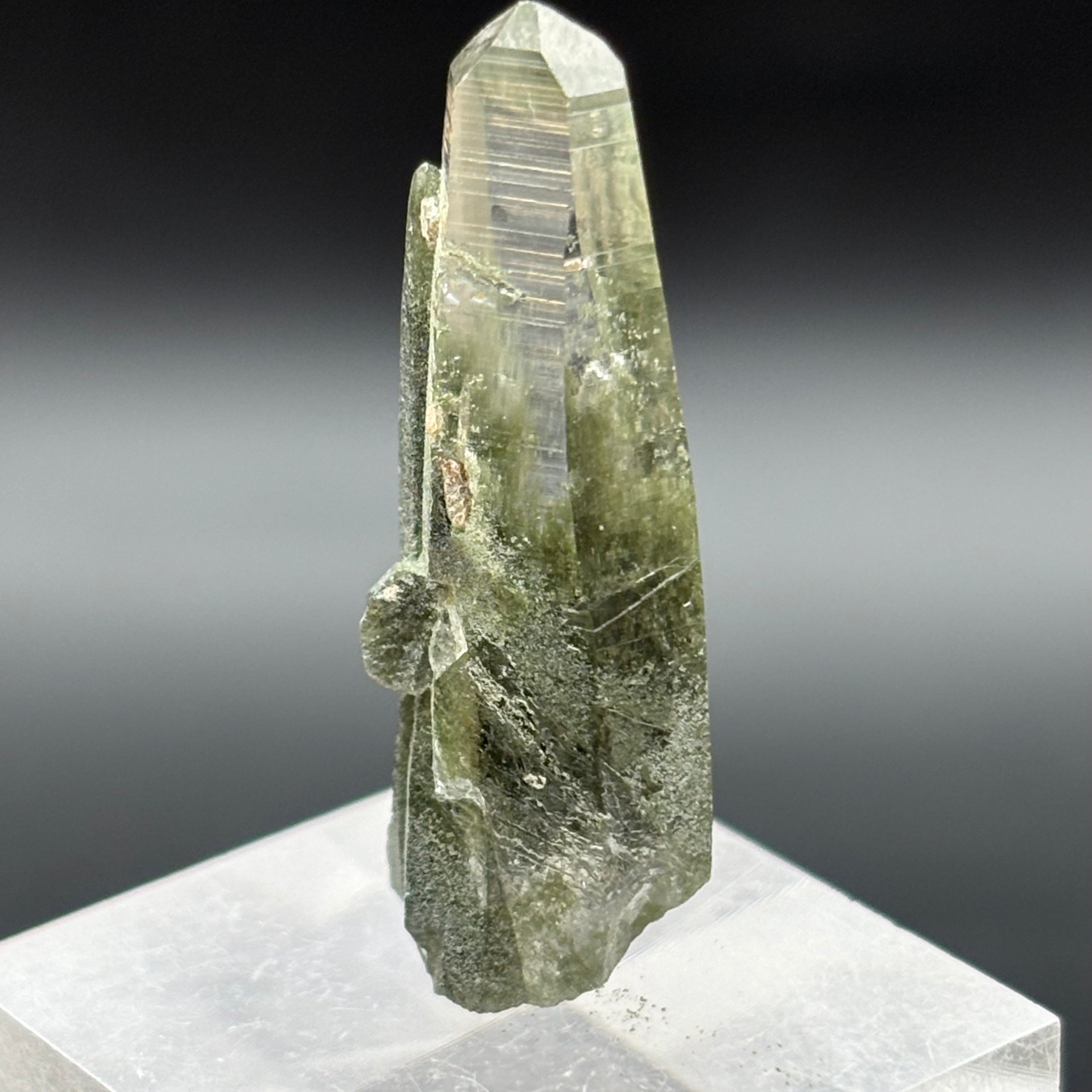 Himalayan Chlorite Quartz Point - 102