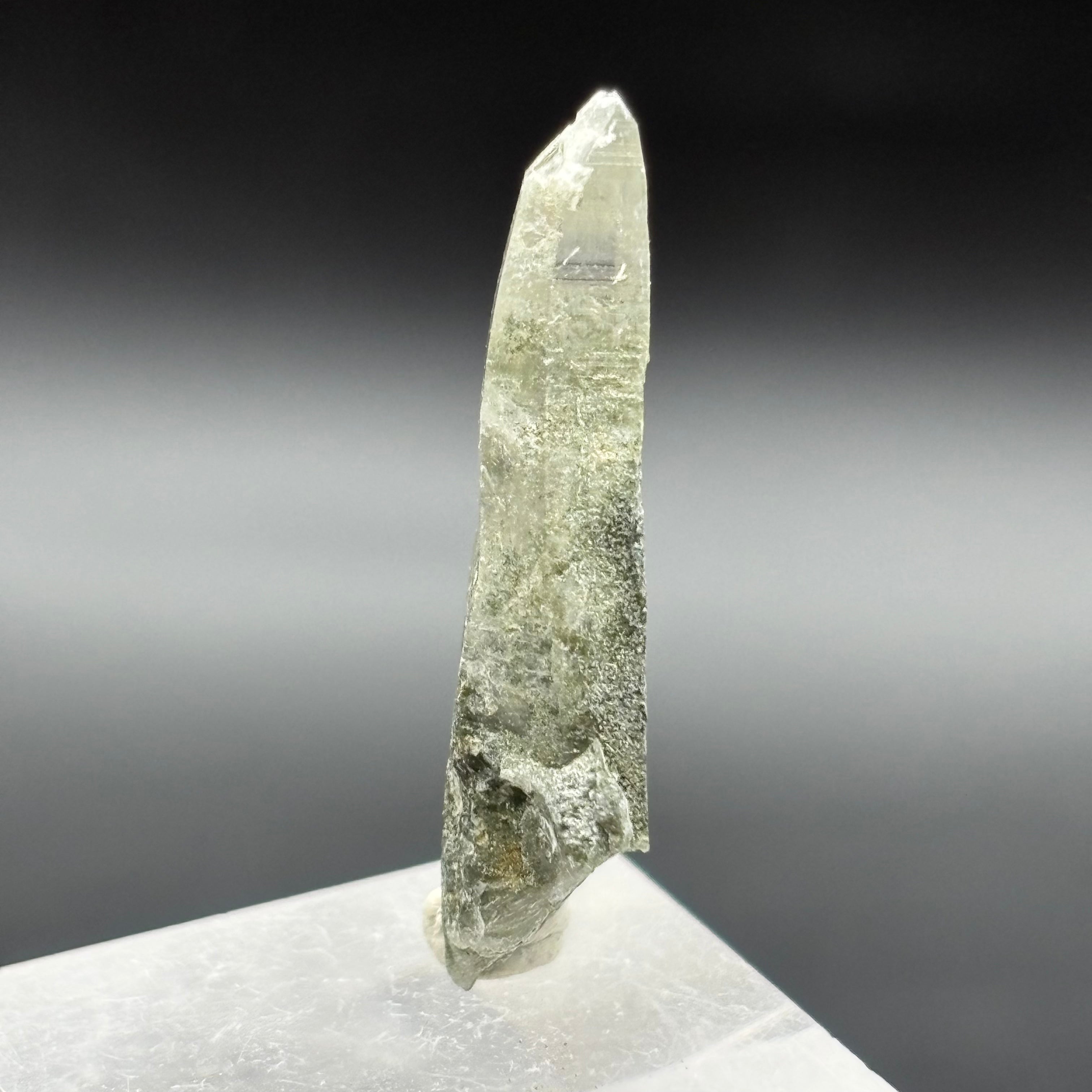Himalayan Chlorite Quartz Point - 103