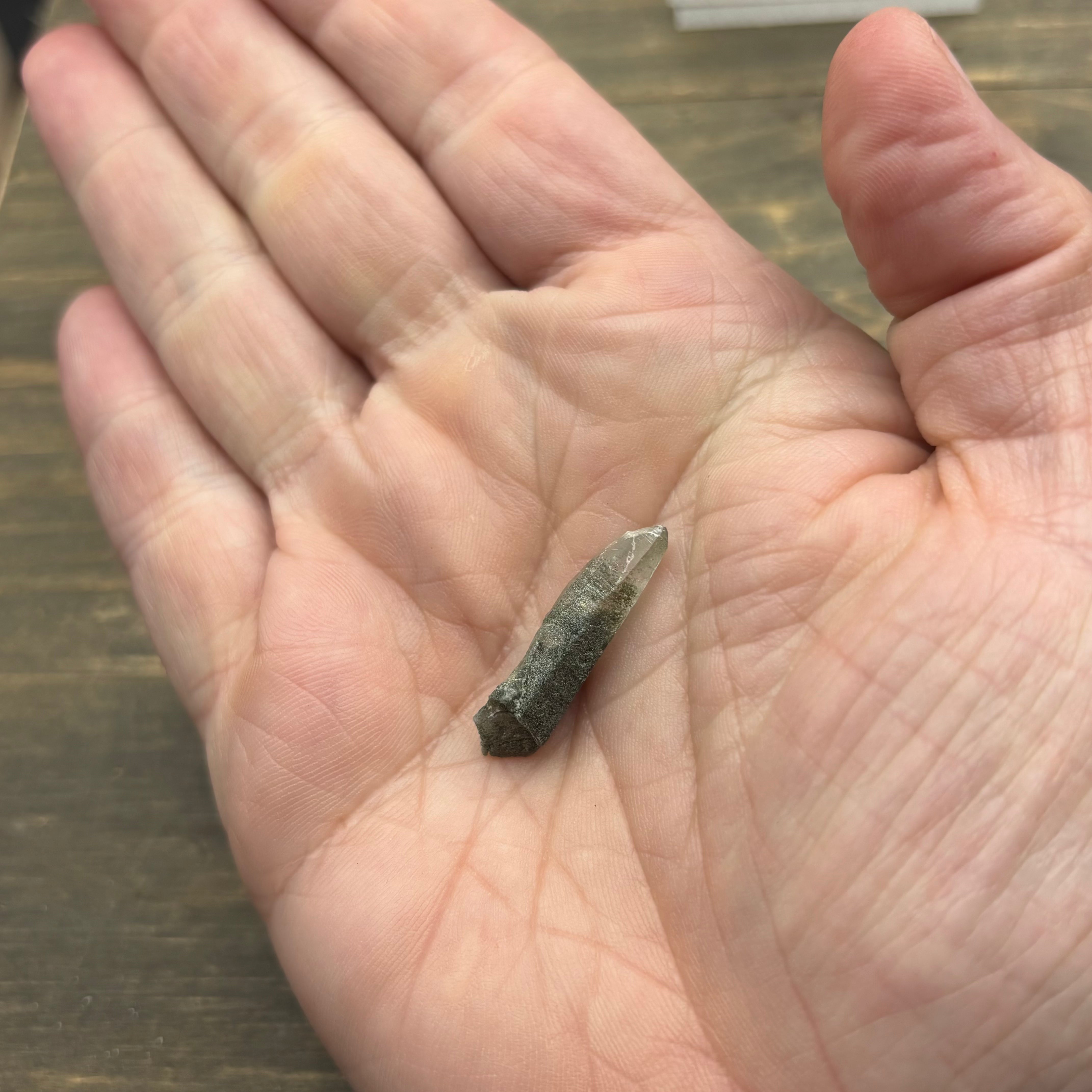 Himalayan Chlorite Quartz Point - 103