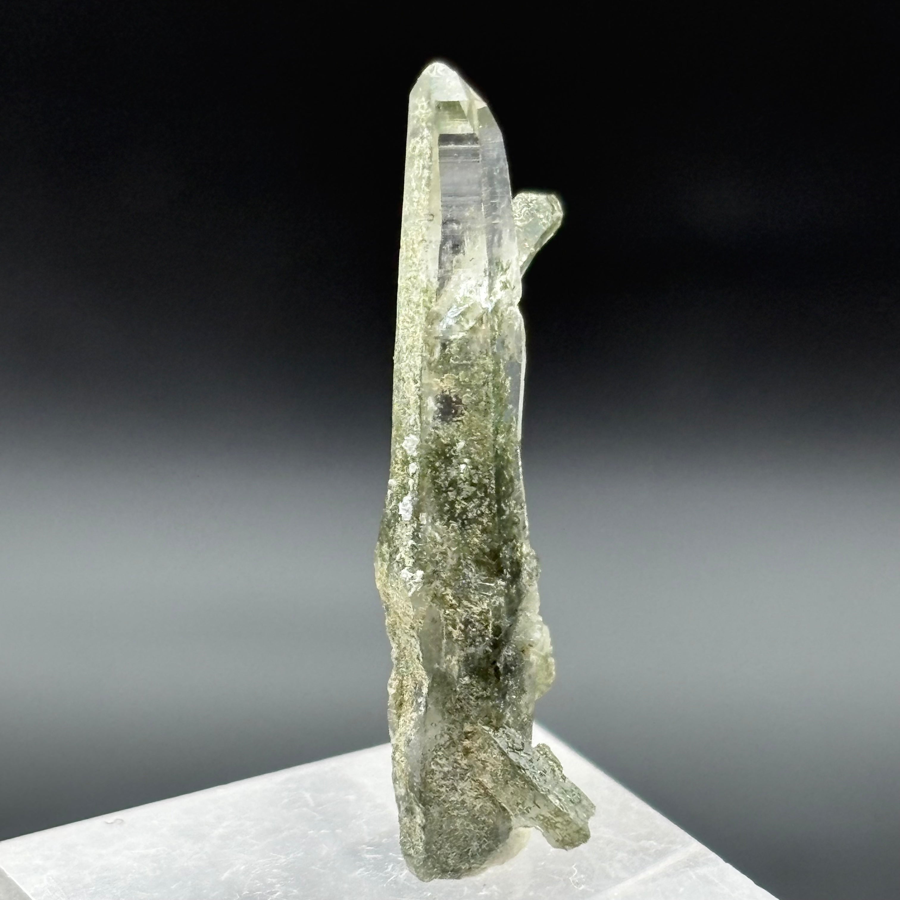 Himalayan Chlorite Quartz Point - 106