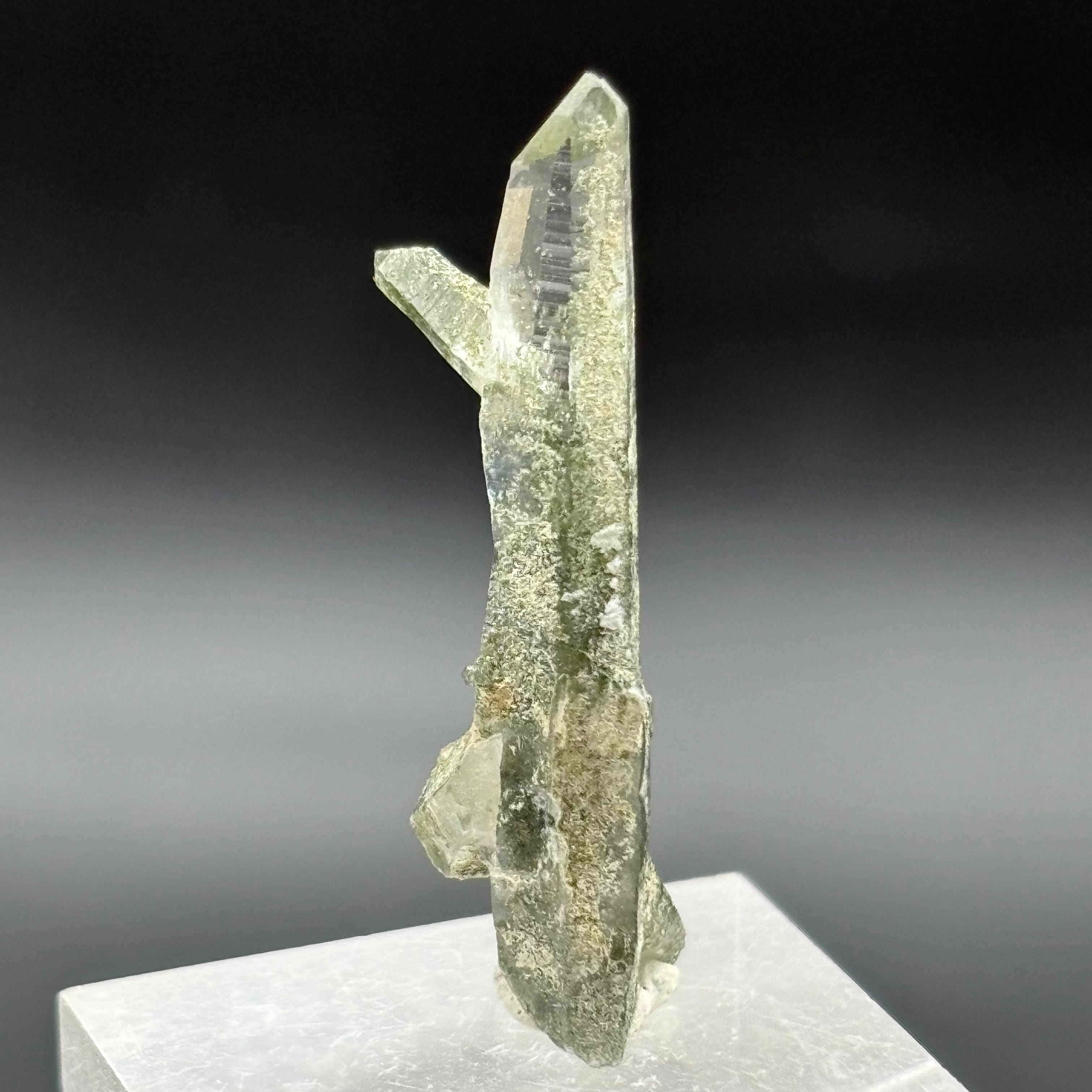 Himalayan Chlorite Quartz Point - 106