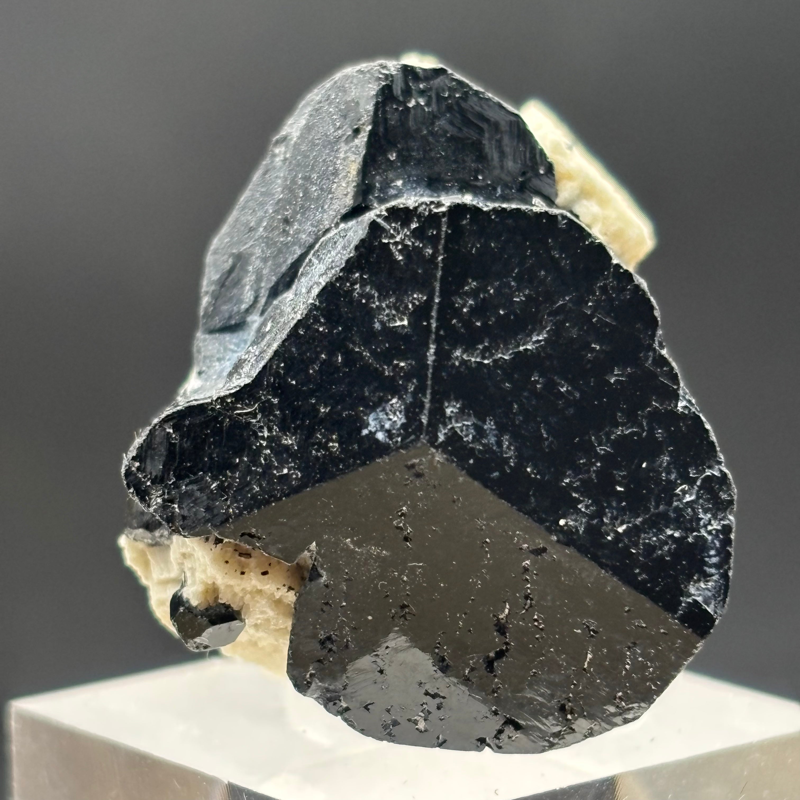 Black Tourmaline, Erongo Mountain - 142