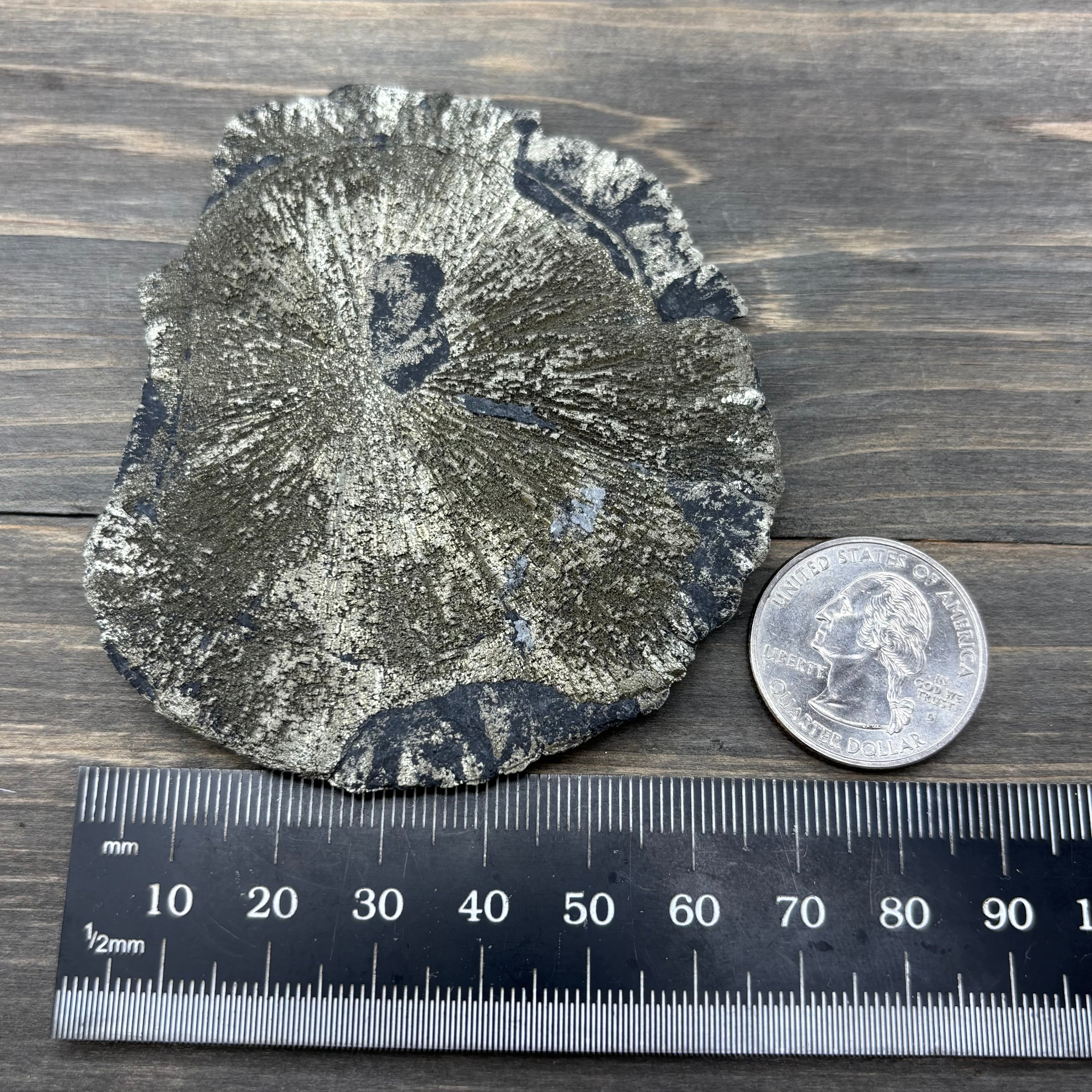 Pyrite Sun Disk - 032