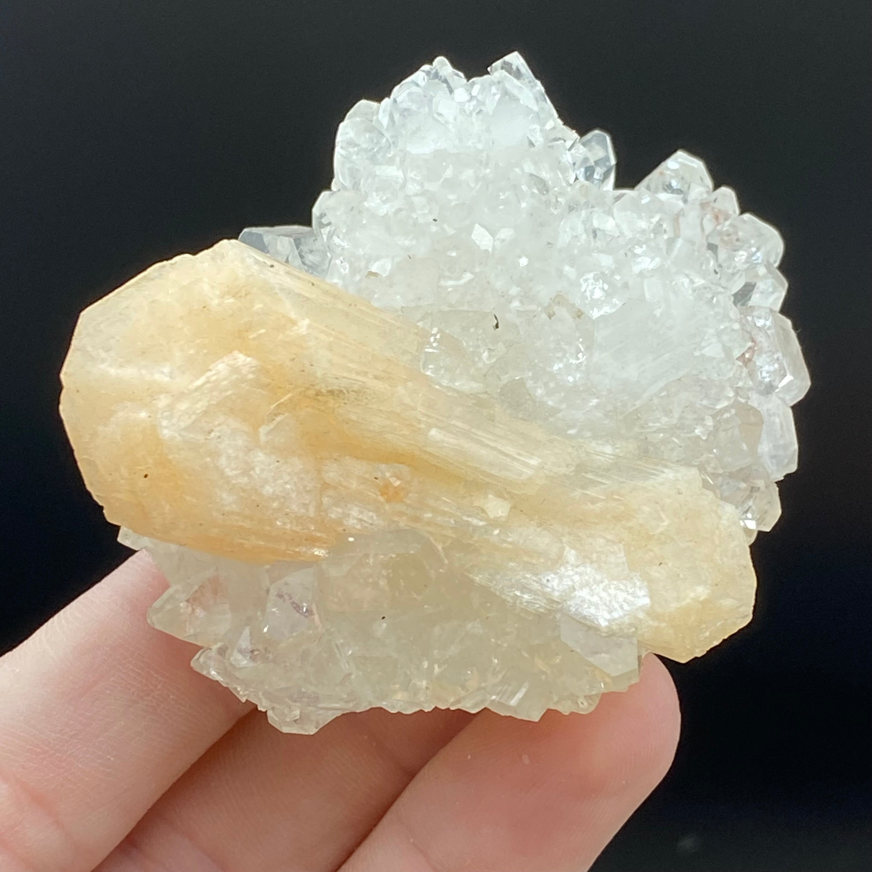 Apophyllite Crystal - 242