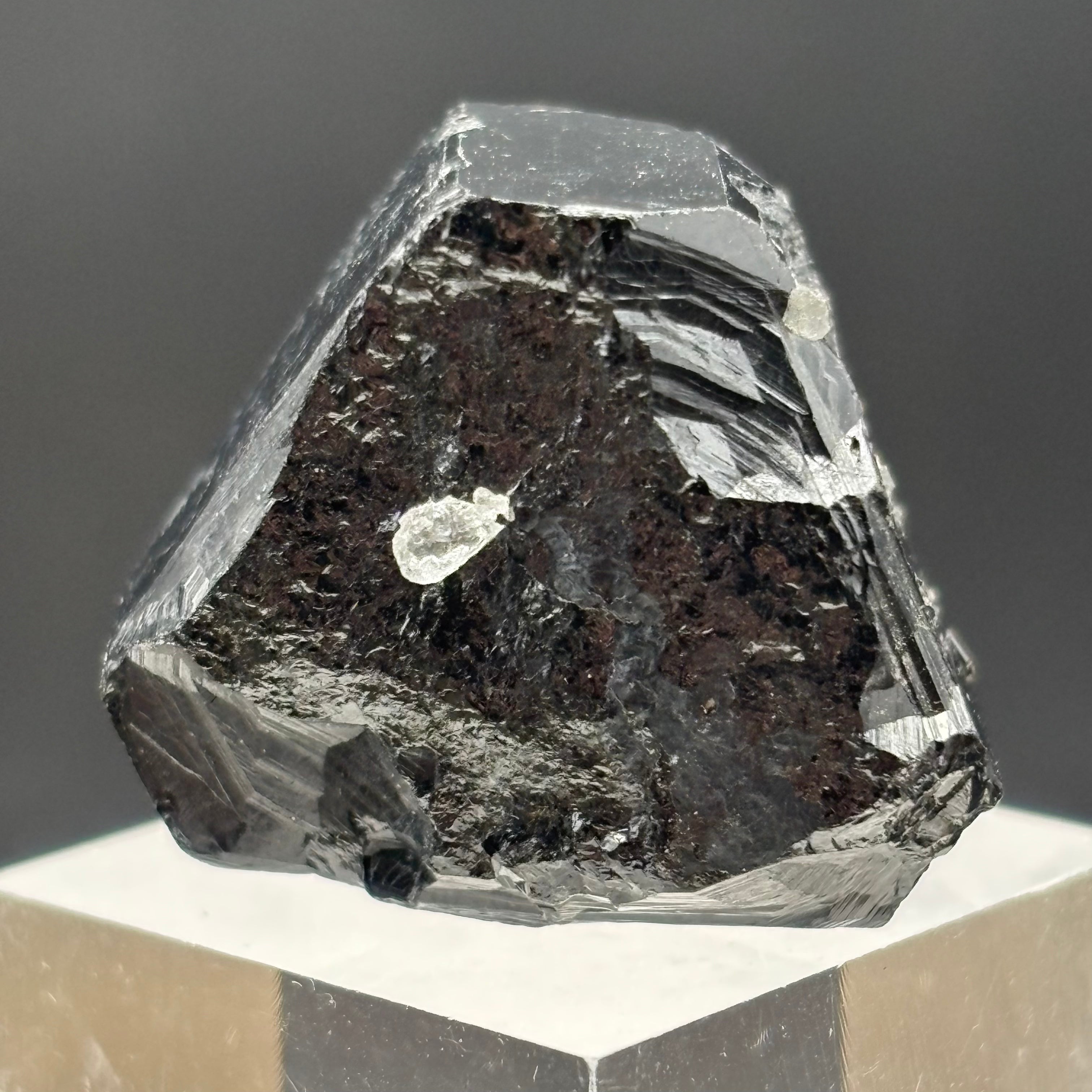 Black Tourmaline, Erongo Mountain - 198