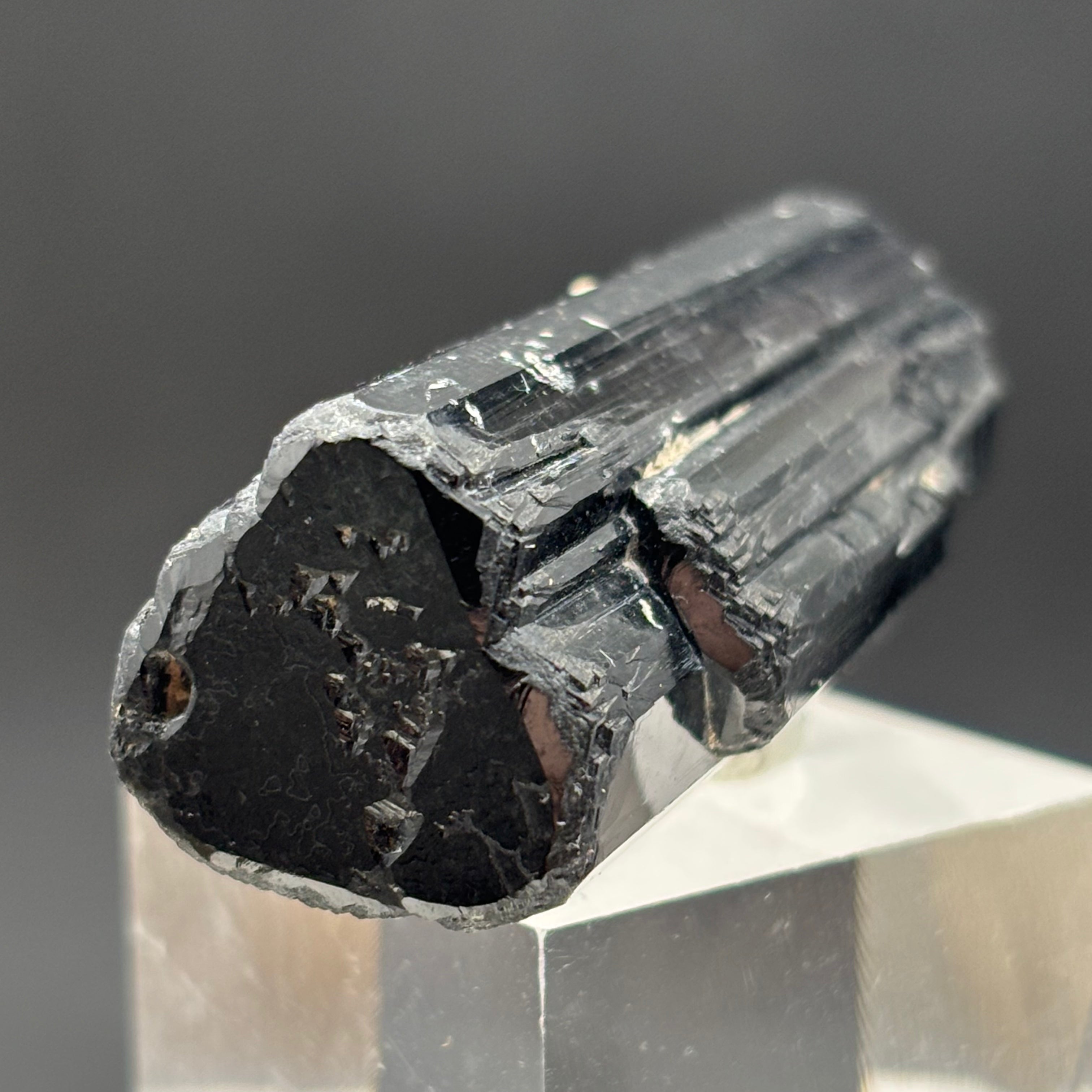 Black Tourmaline, Erongo Mountain - 212