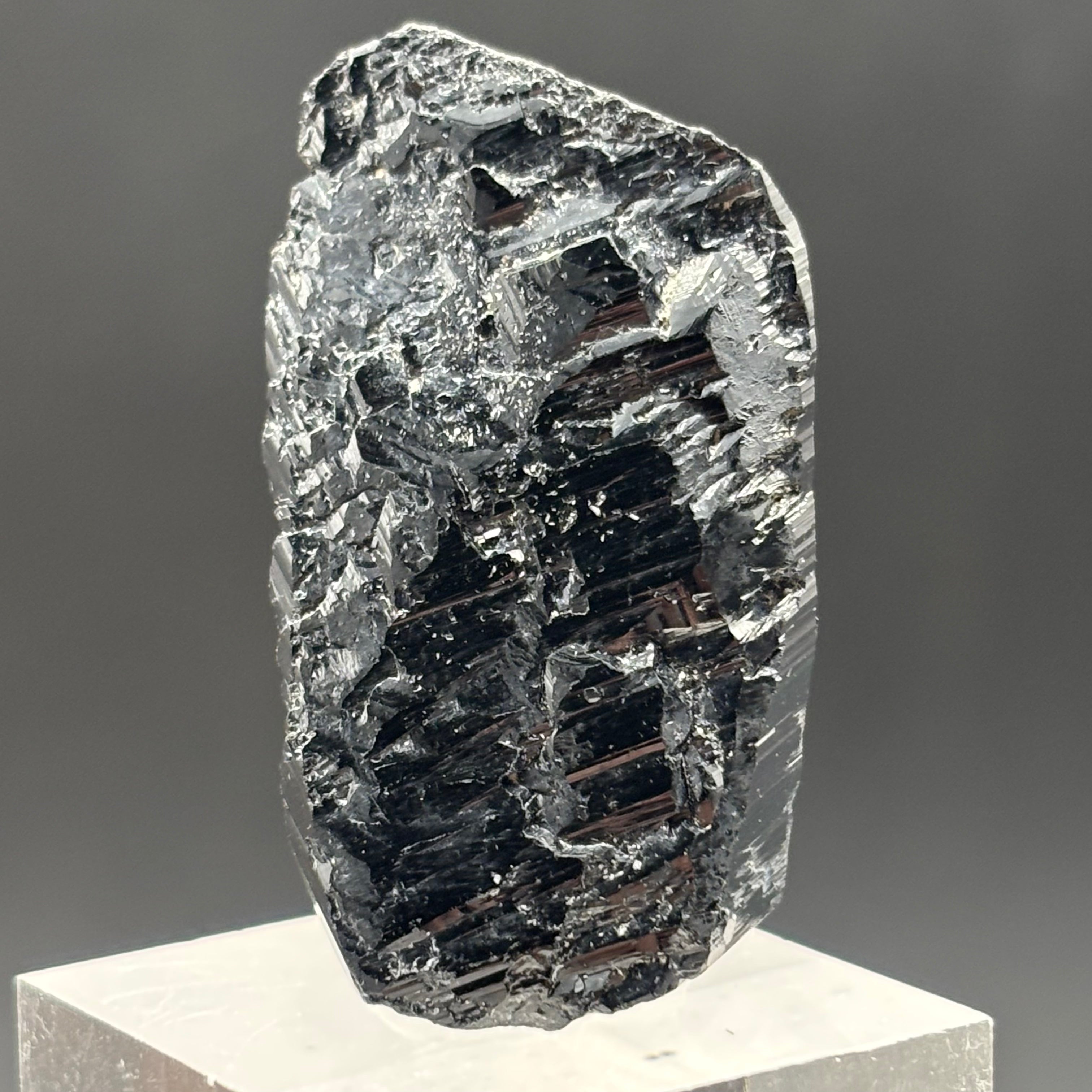 Black Tourmaline, Erongo Mountain - 219