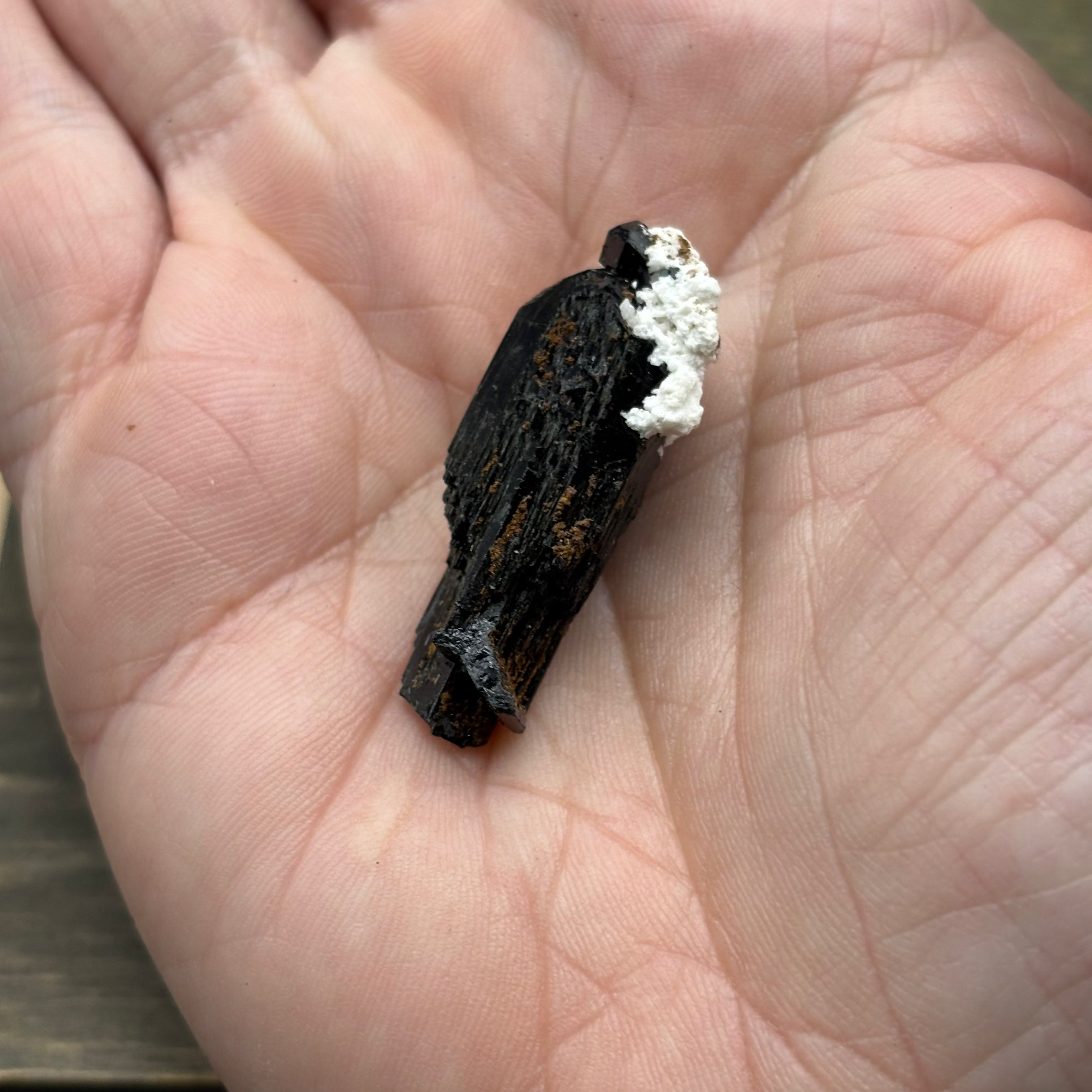 Black Tourmaline, Erongo Mountain - 220