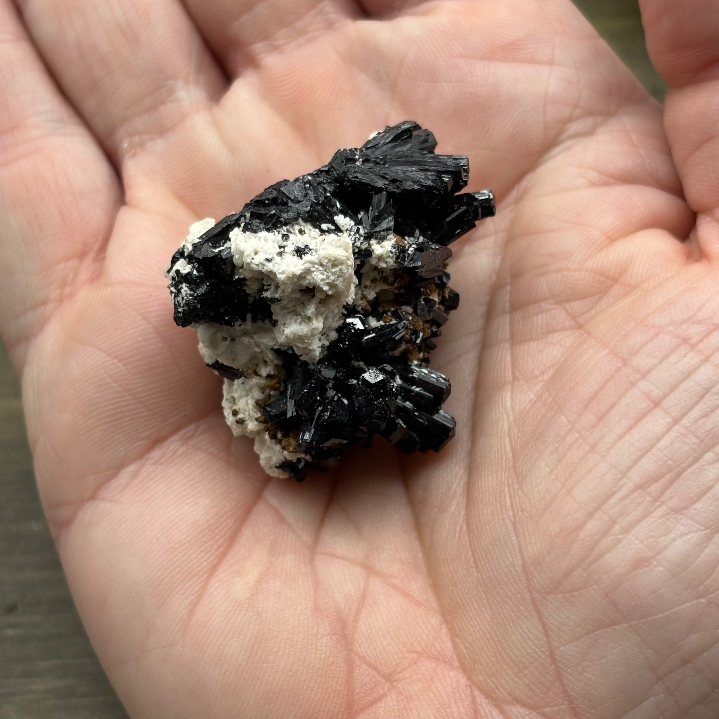 Black Tourmaline, Erongo Mountain - 226