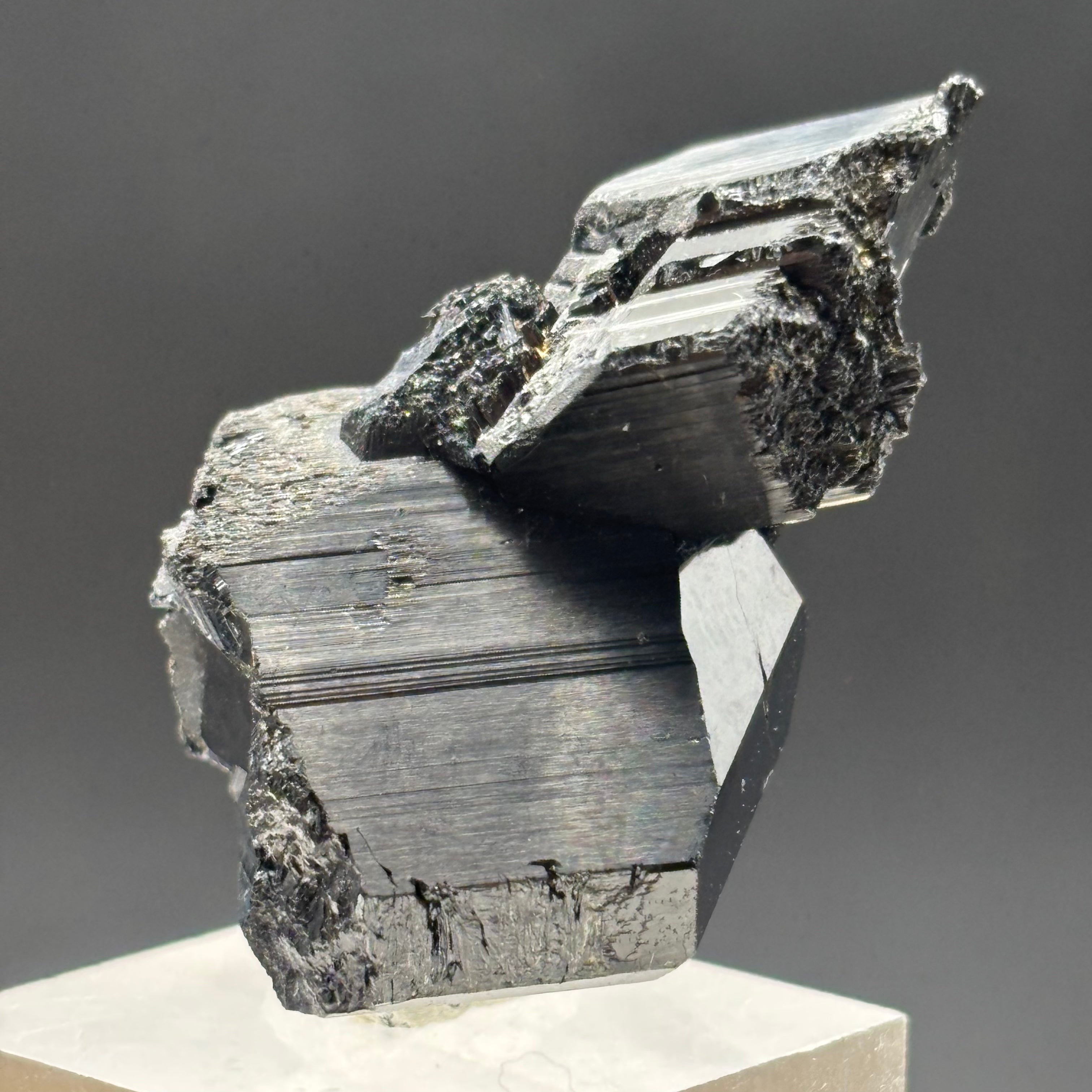 Black Tourmaline, Erongo Mountain - 229