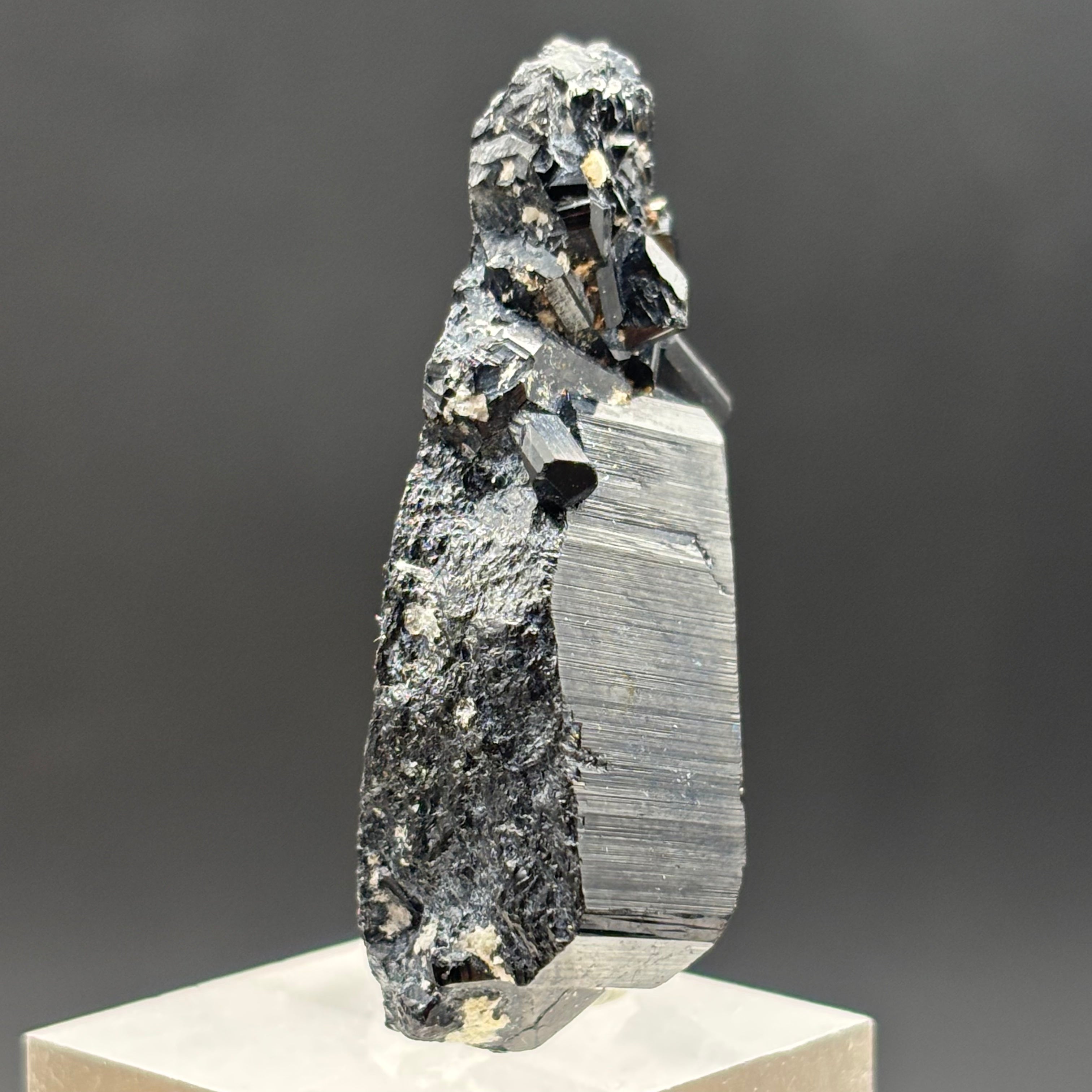 Black Tourmaline, Erongo Mountain - 233