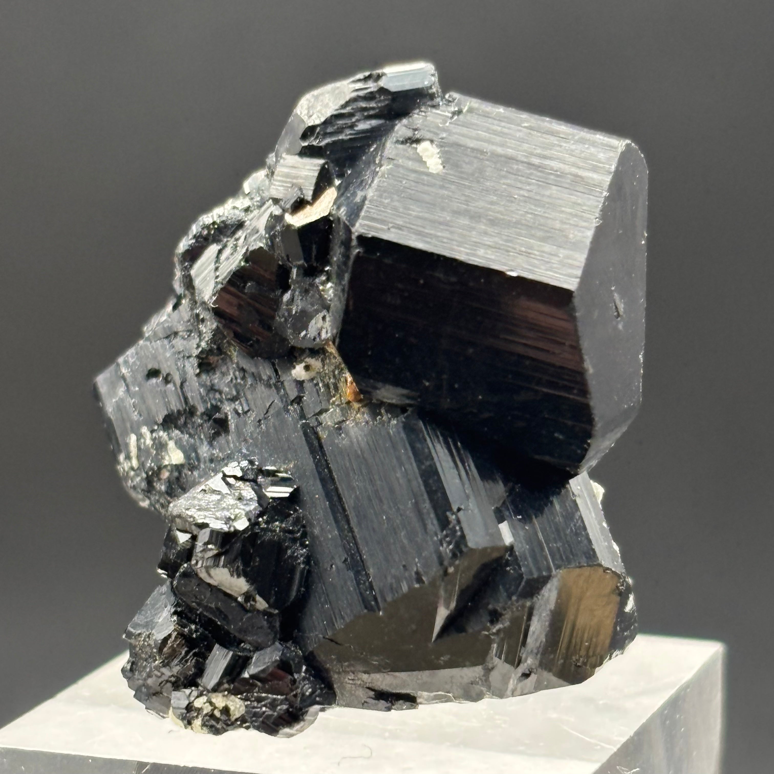 Black Tourmaline, Erongo Mountain - 236