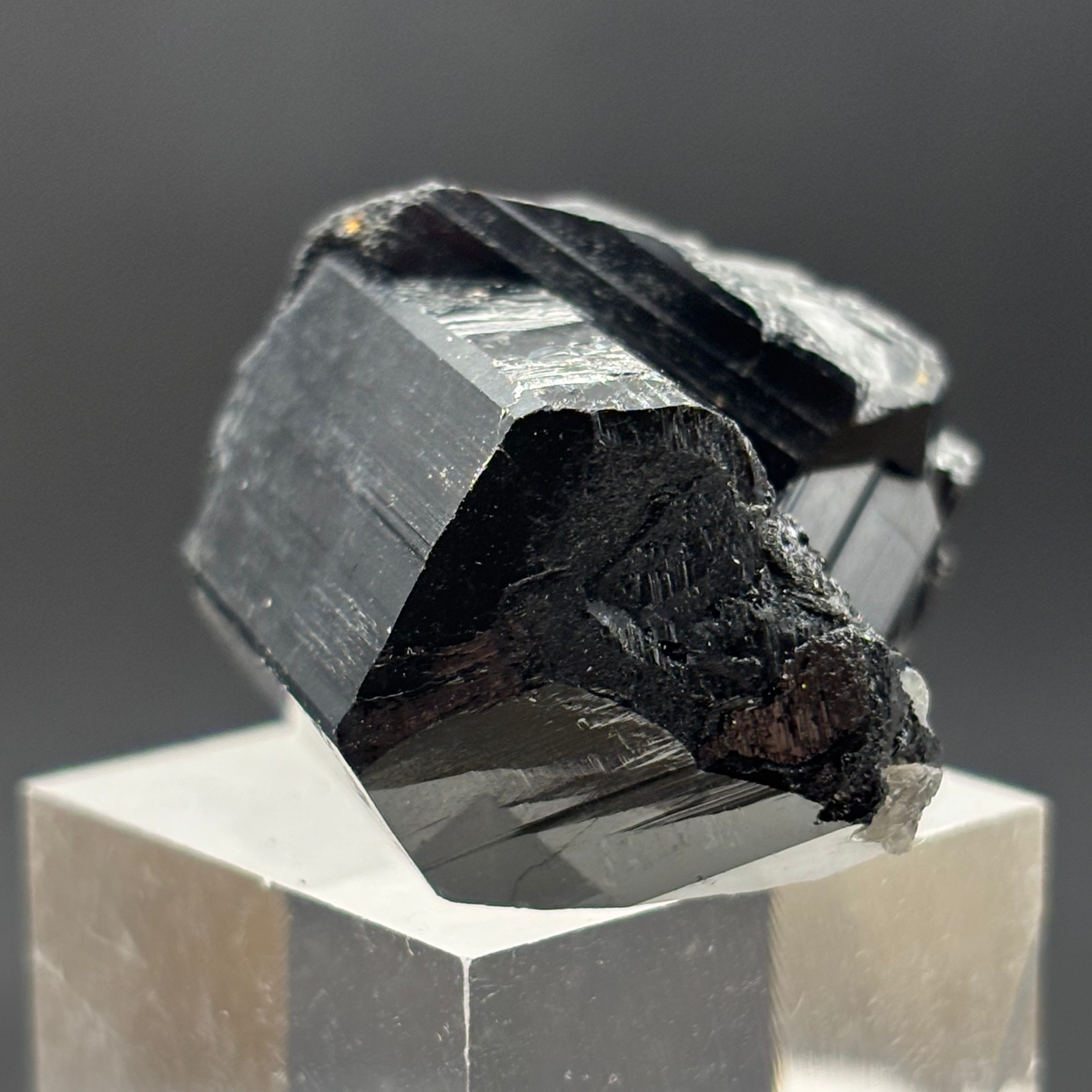 Black Tourmaline, Erongo Mountain - 240