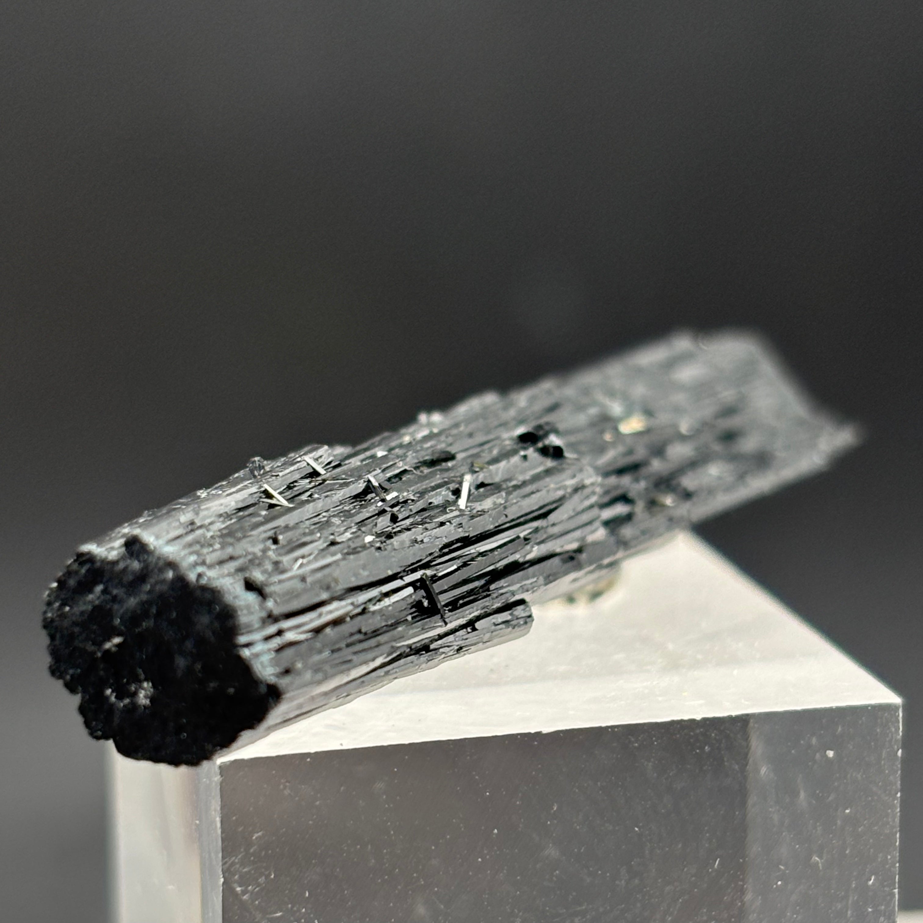 Black Tourmaline, Erongo Mountain - 242