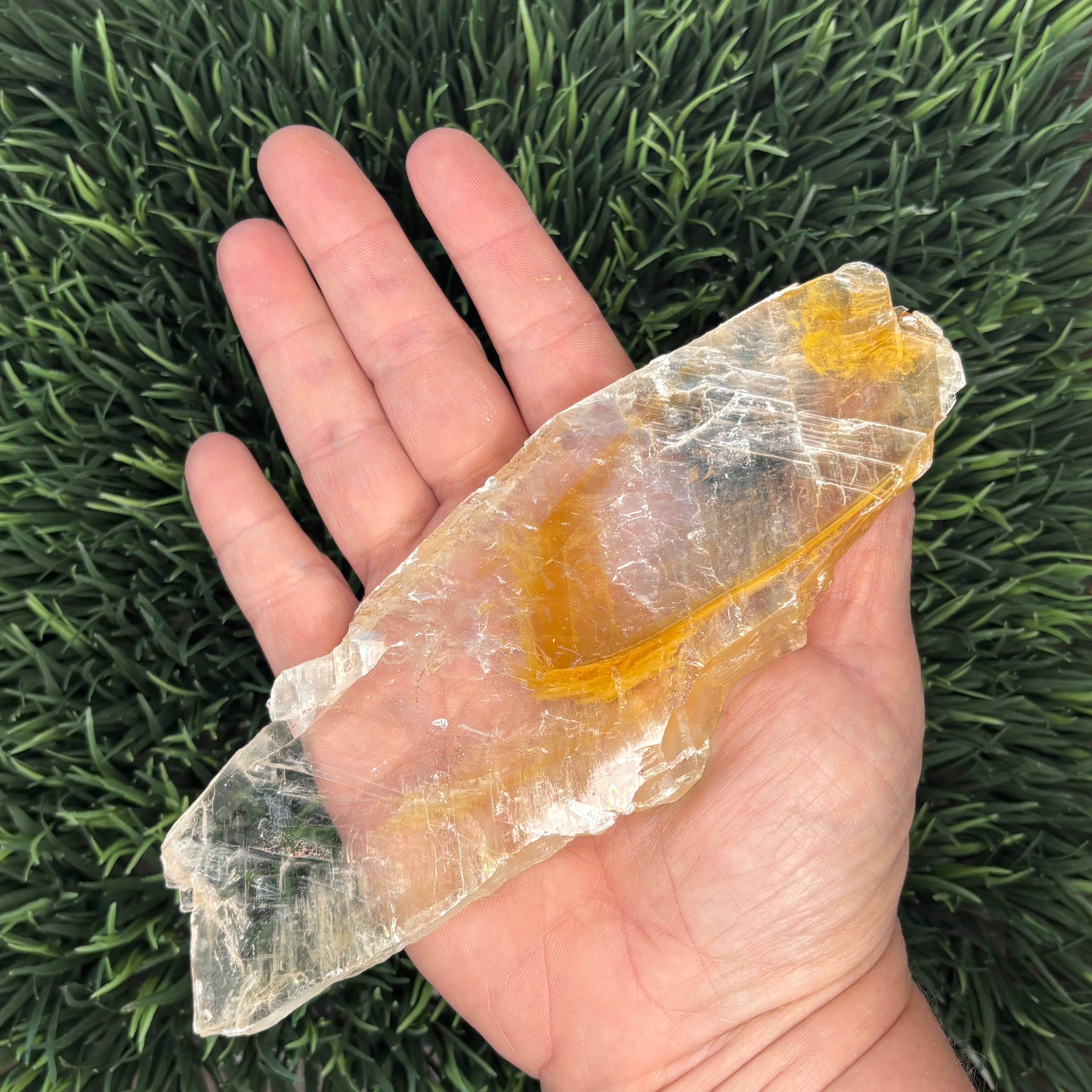 Golden Selenite Window - 556