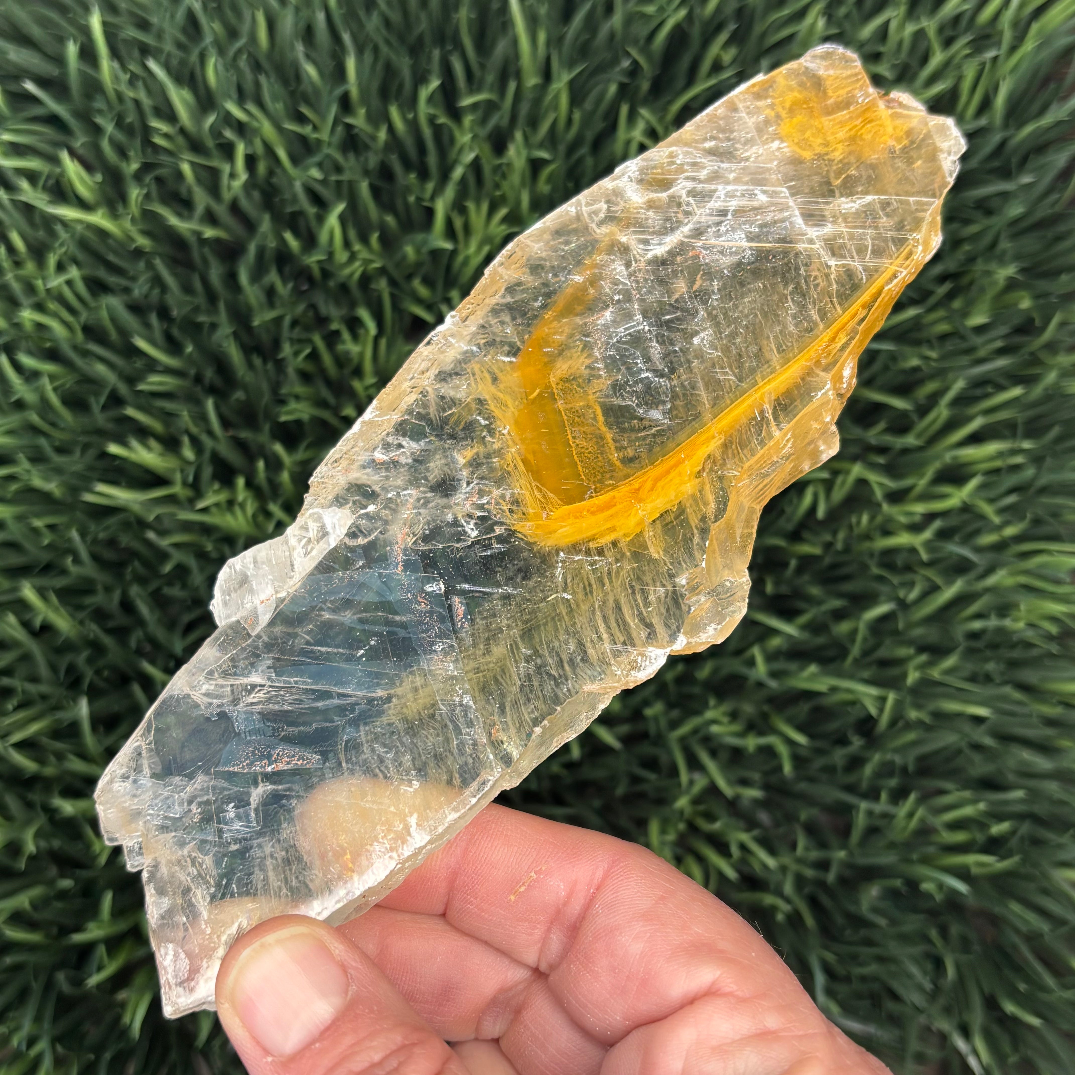 Golden Selenite Window - 556