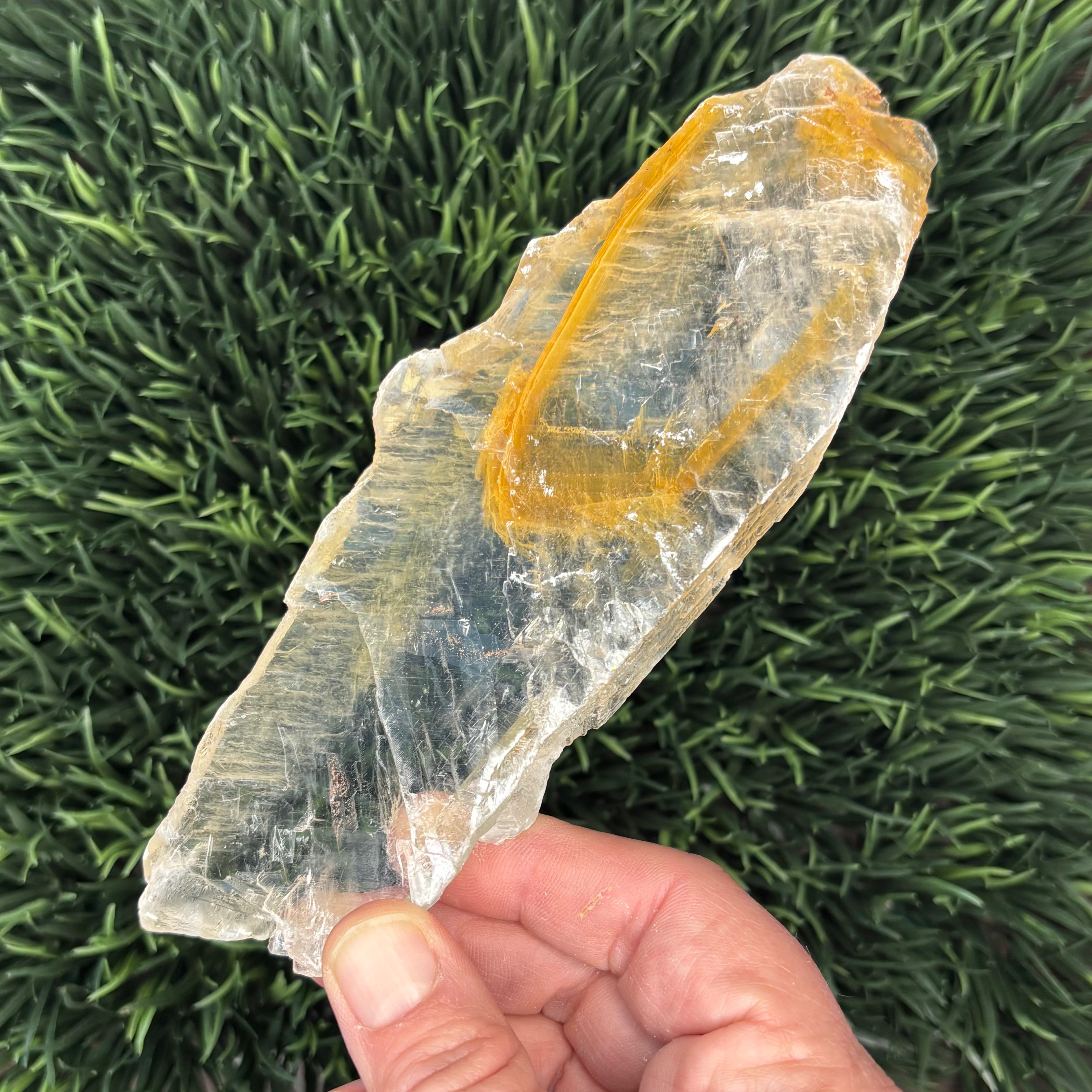 Golden Selenite Window - 556