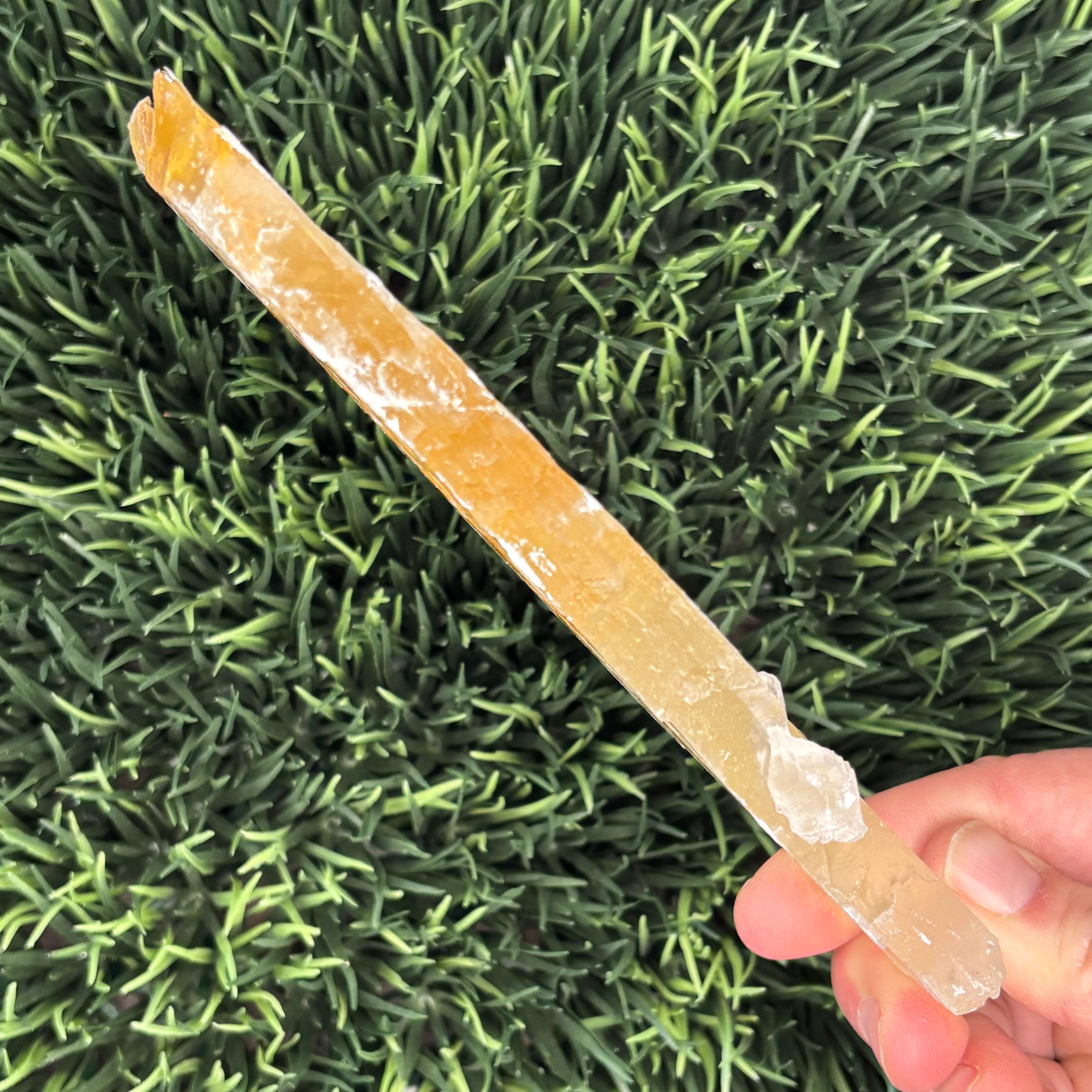 Golden Selenite Window - 556
