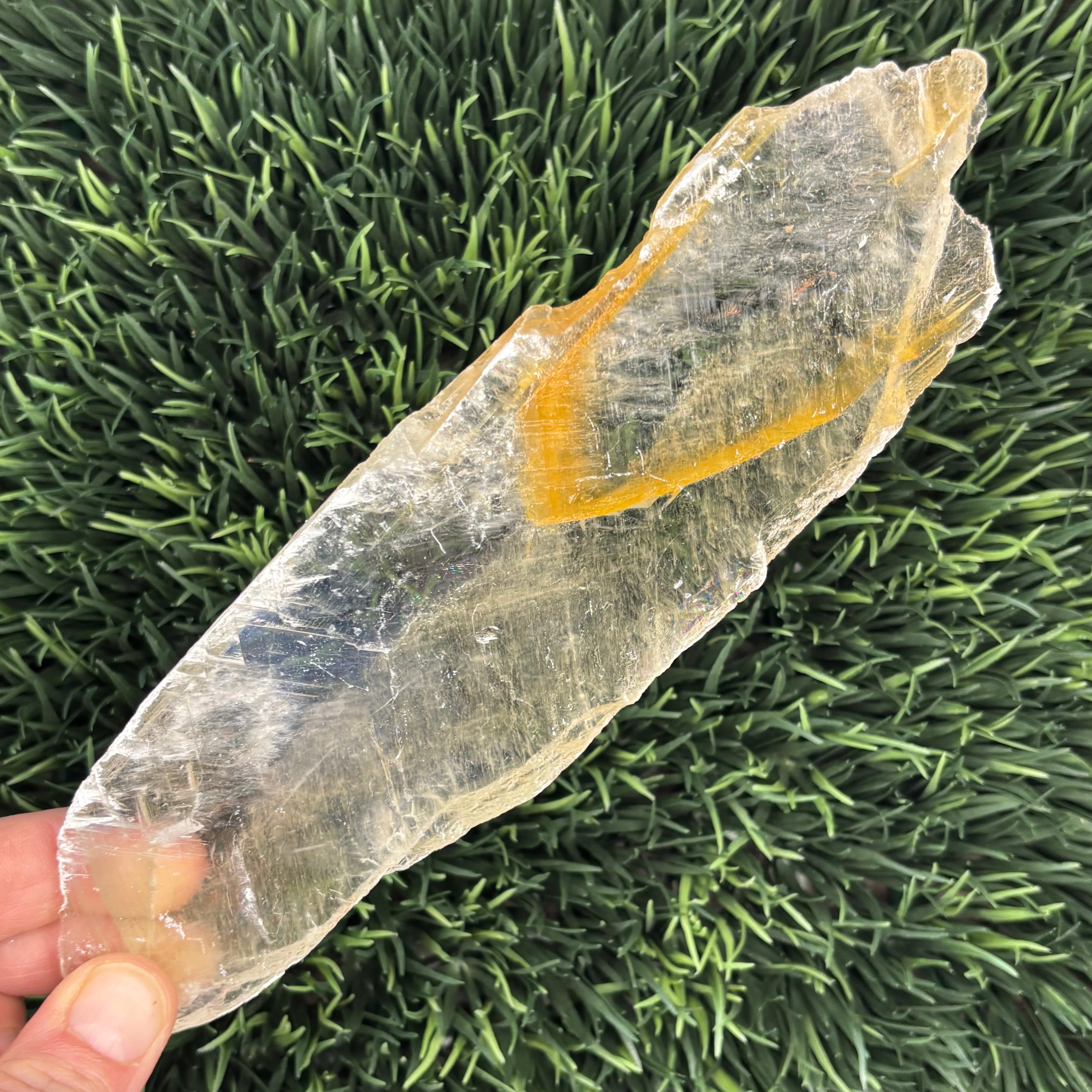 Golden Selenite Window - 557