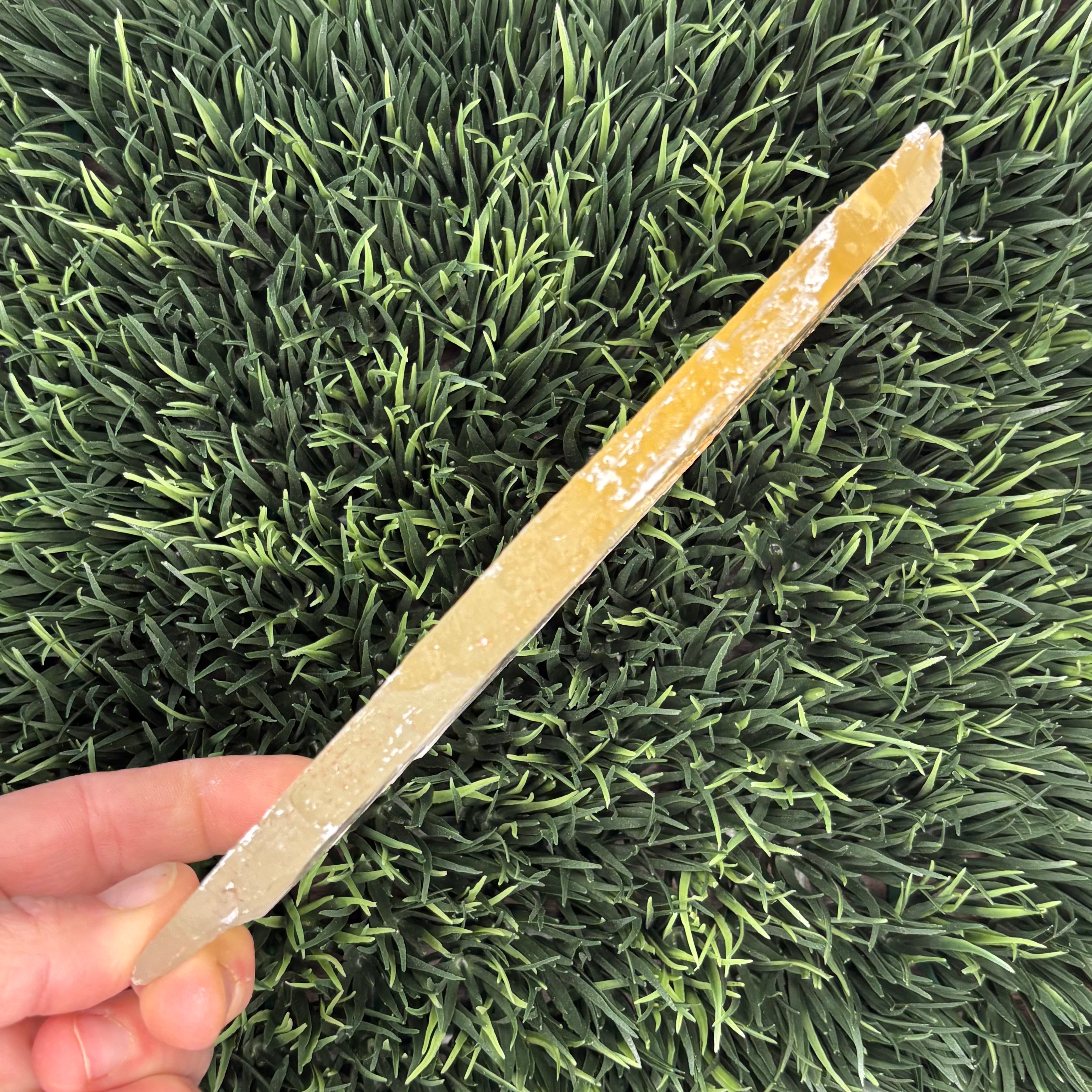 Golden Selenite Window - 557