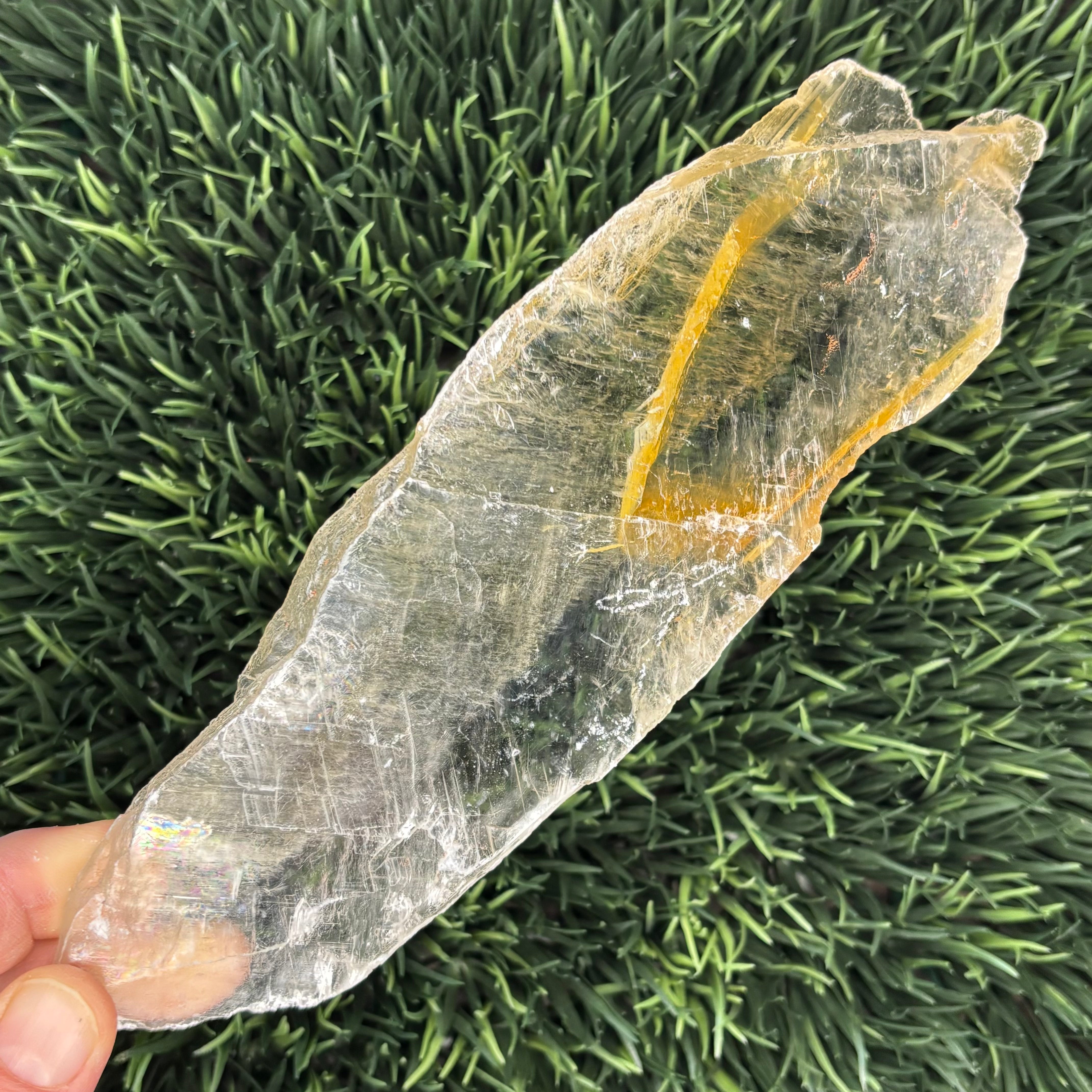 Golden Selenite Window - 557