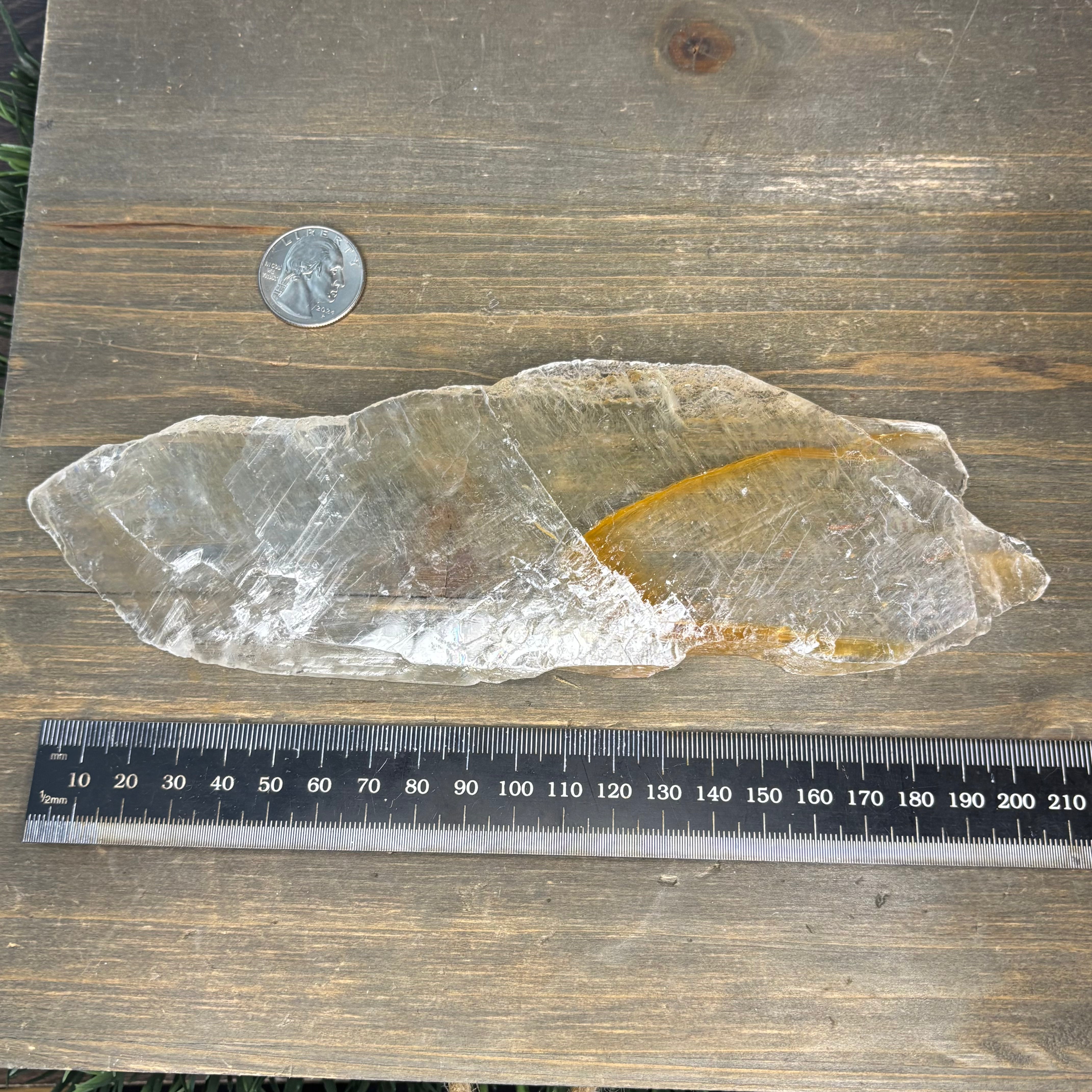 Golden Selenite Window - 557