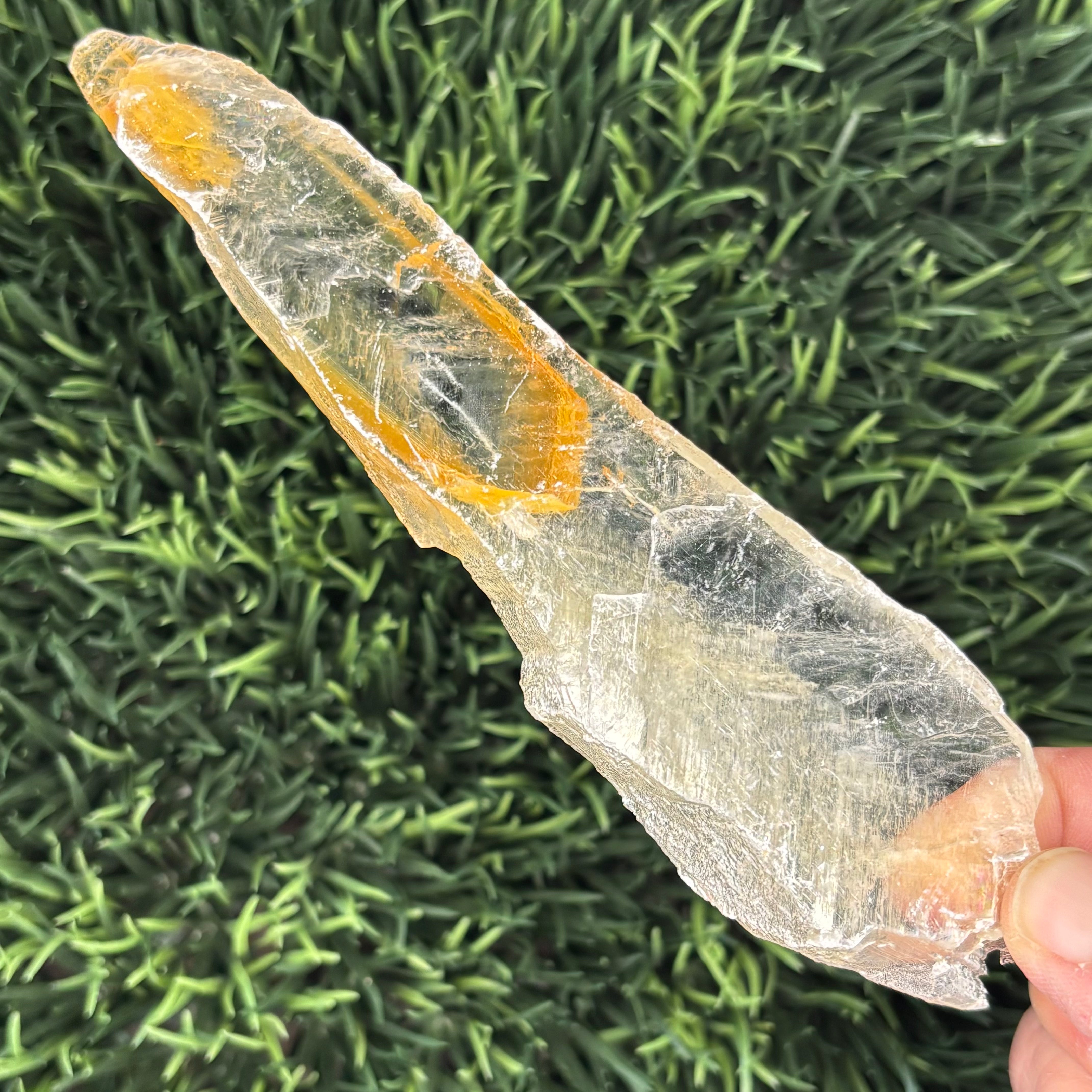 Golden Selenite Window - 559