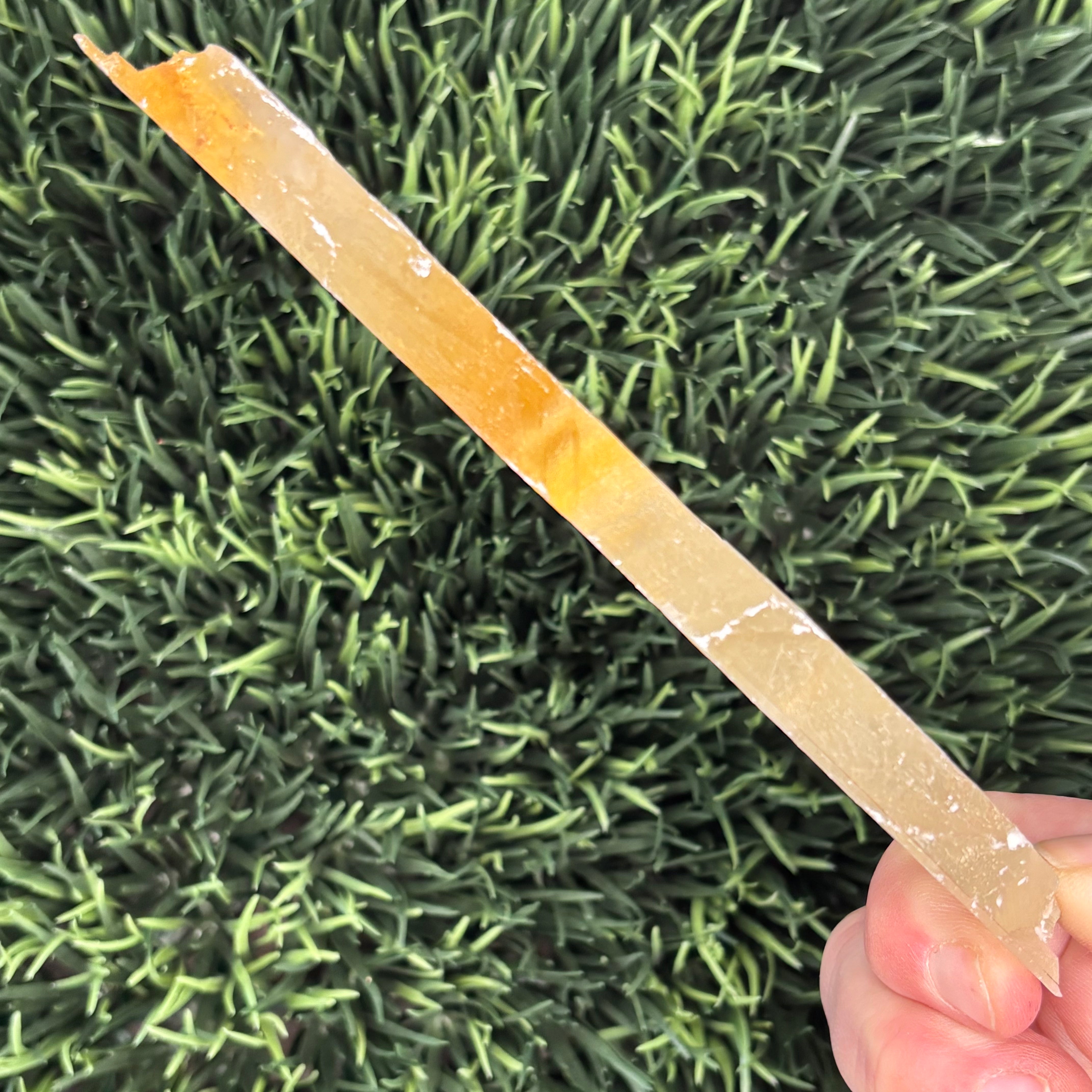 Golden Selenite Window - 559