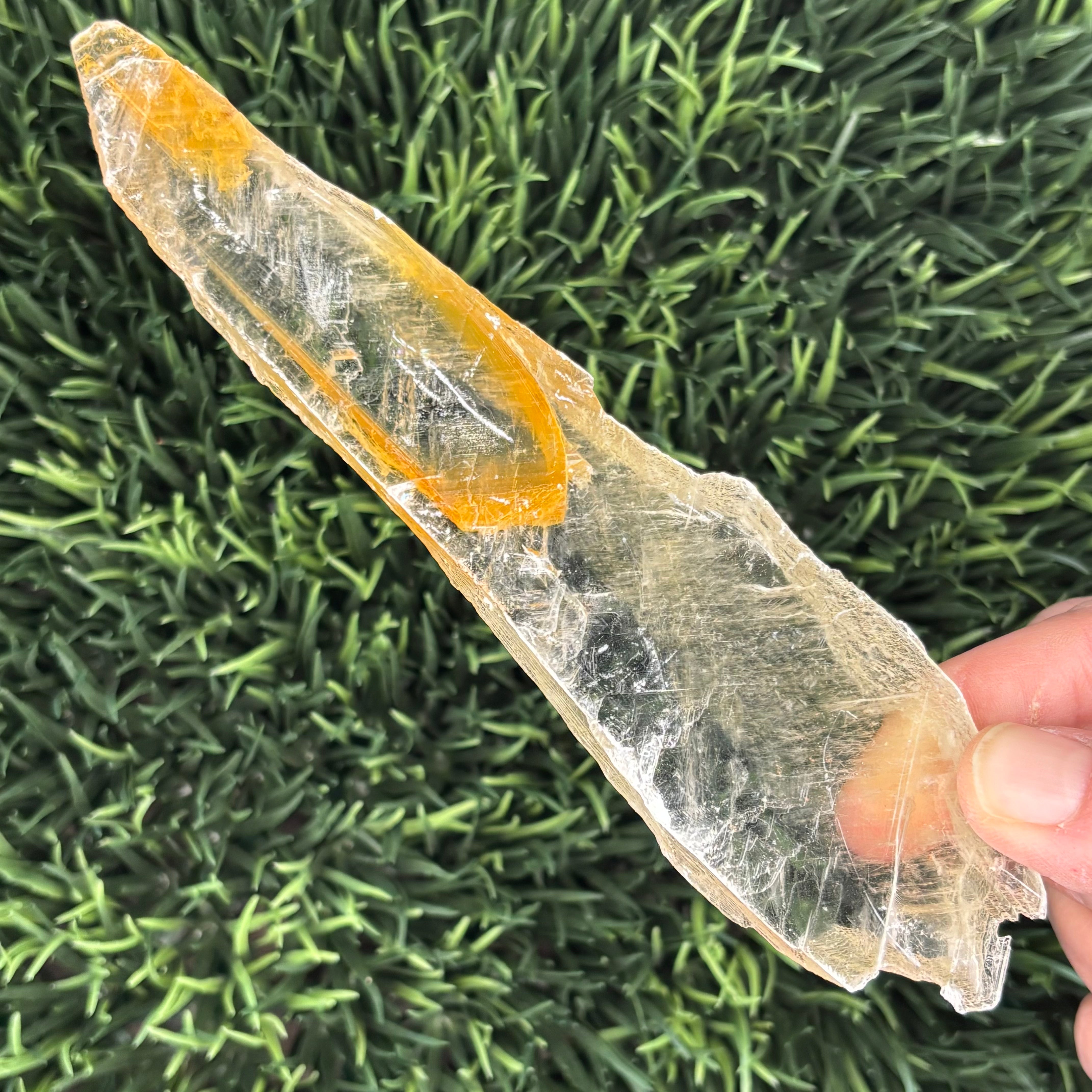 Golden Selenite Window - 559
