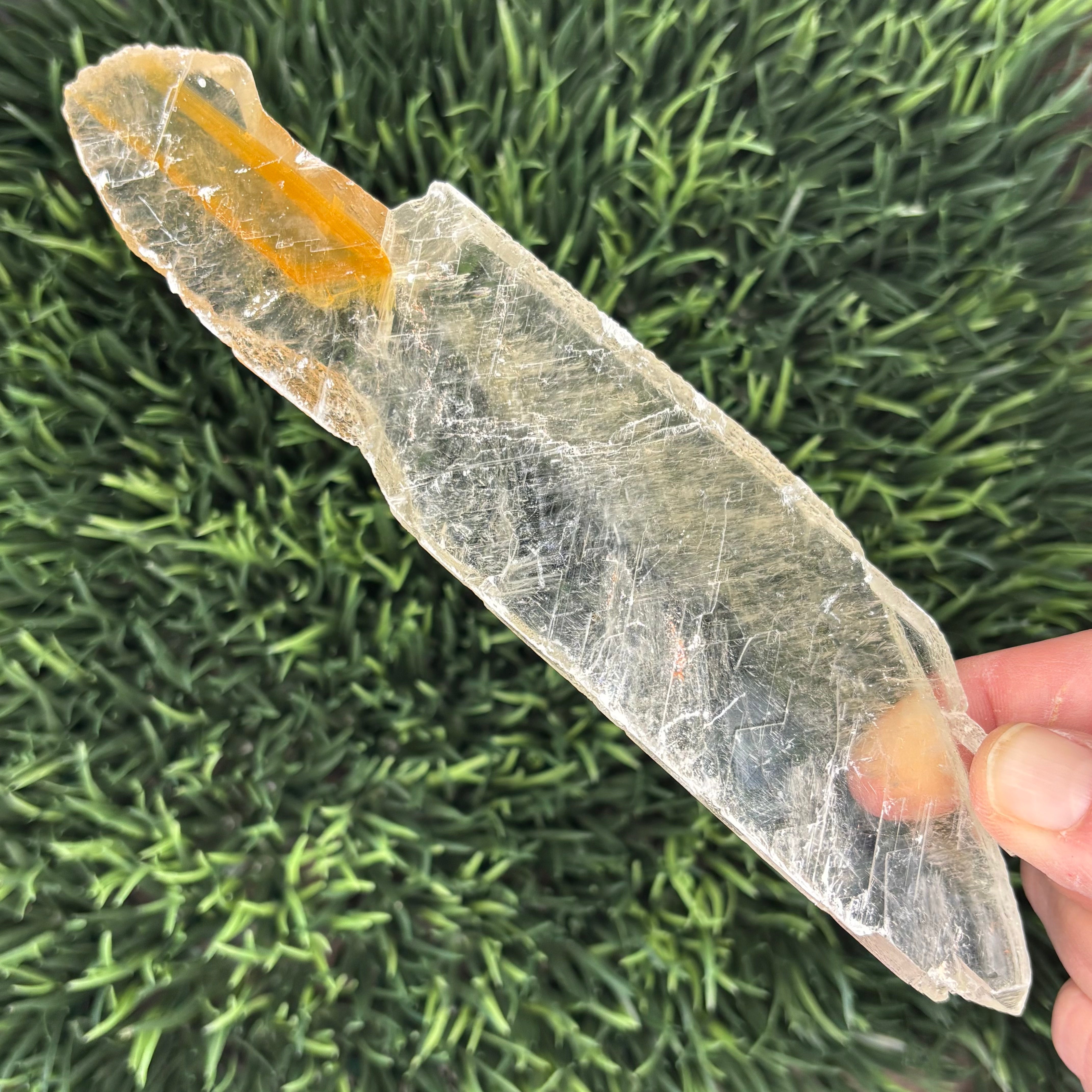 Golden Selenite Window - 560