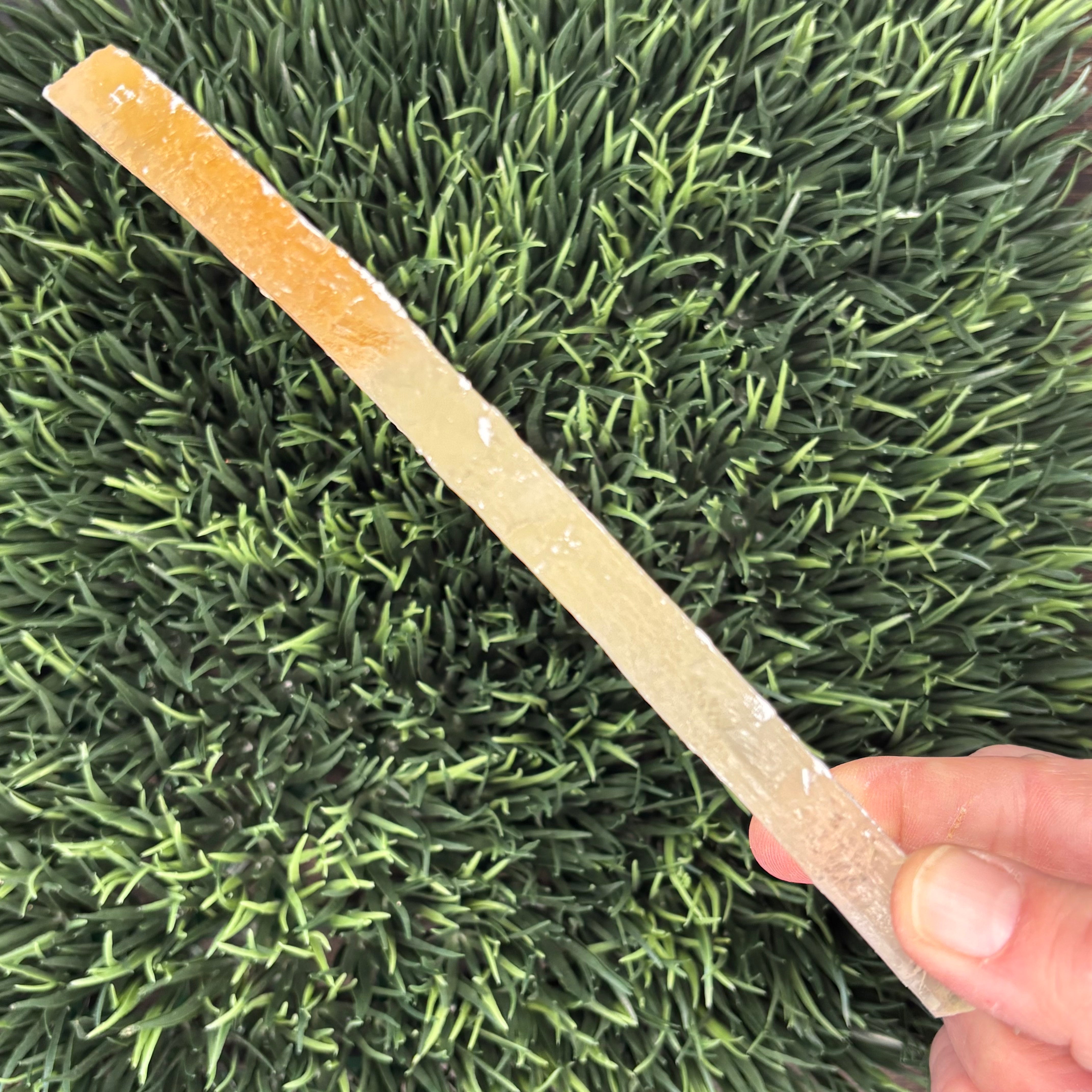 Golden Selenite Window - 560