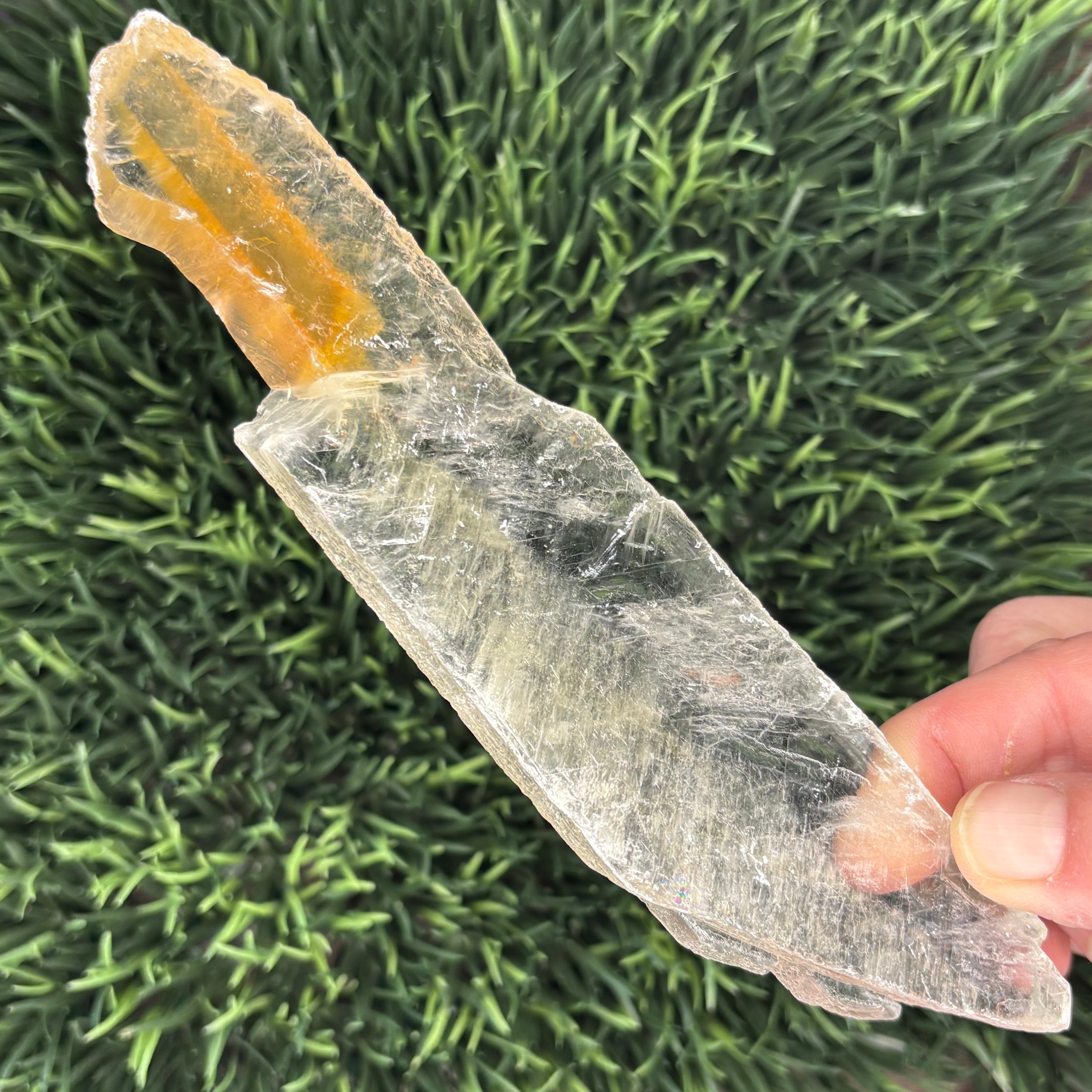 Golden Selenite Window - 560