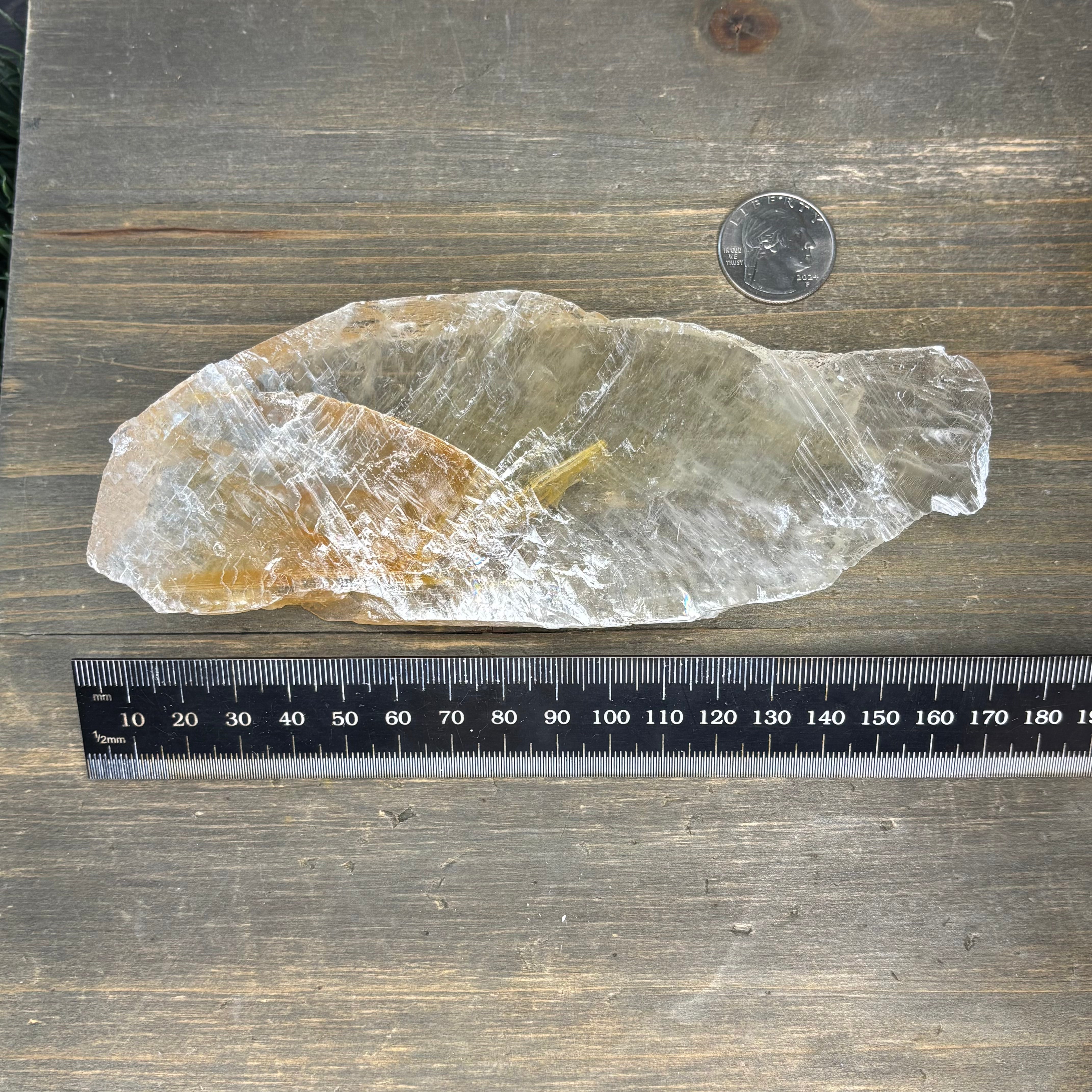 Golden Selenite Window - 561