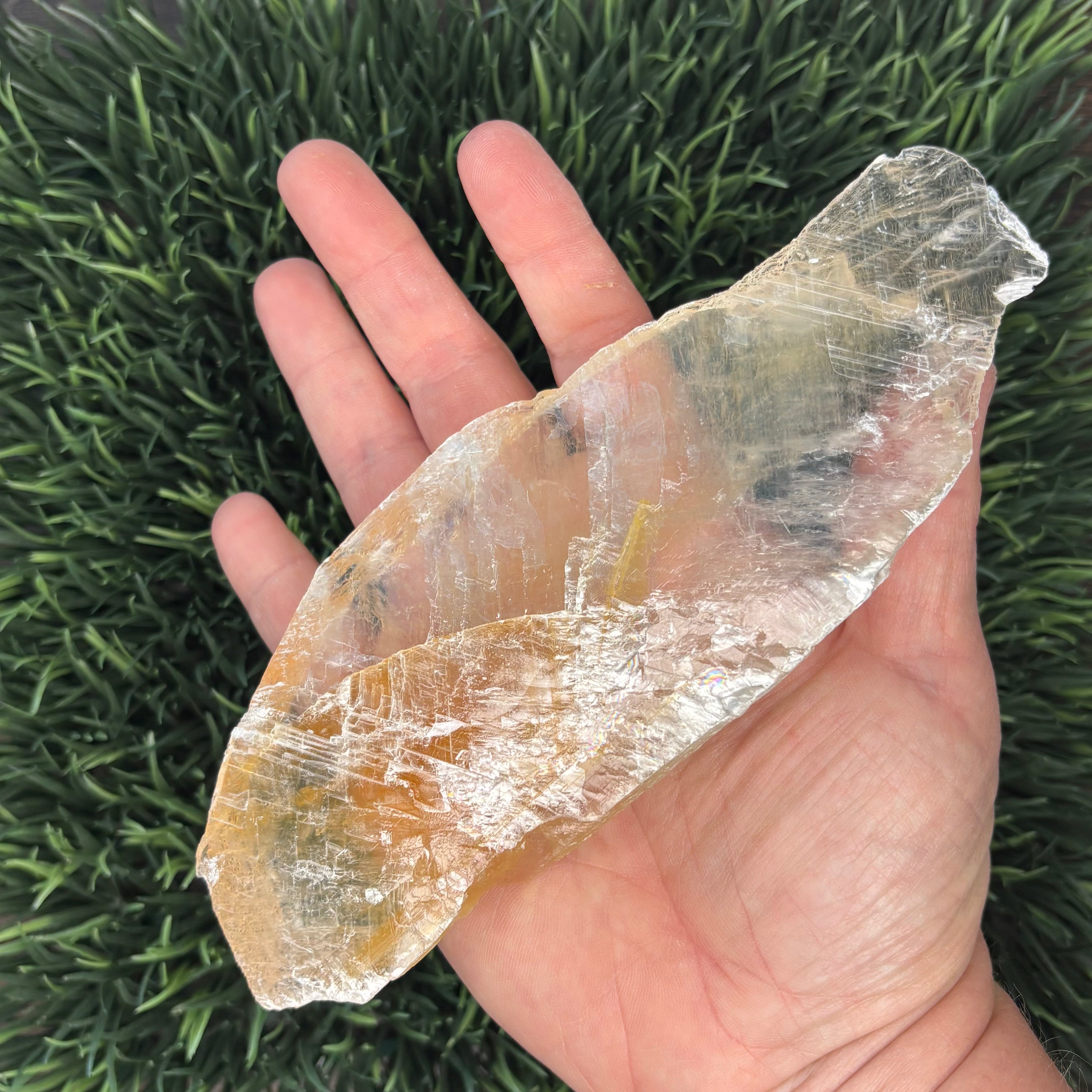 Golden Selenite Window - 561