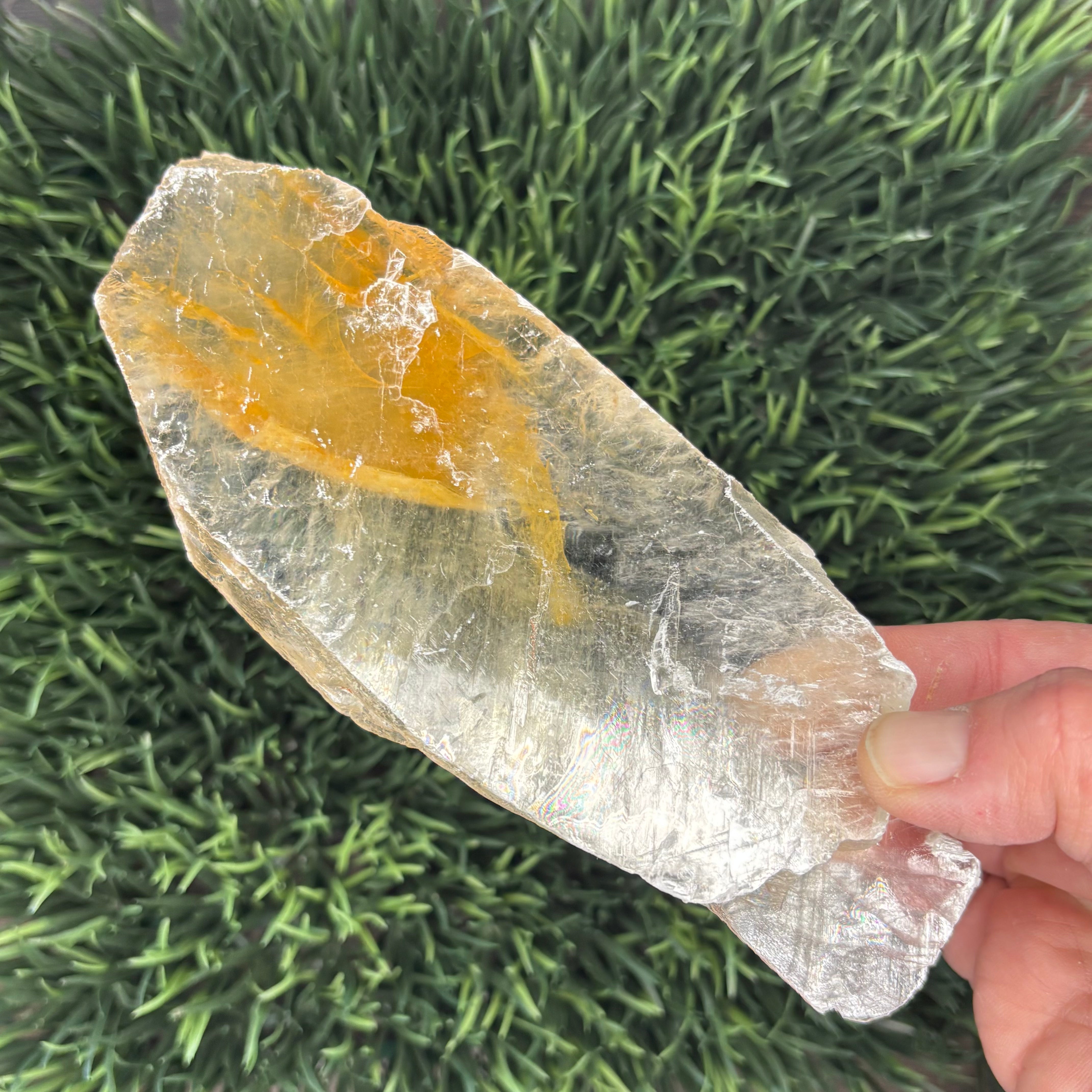 Golden Selenite Window - 561