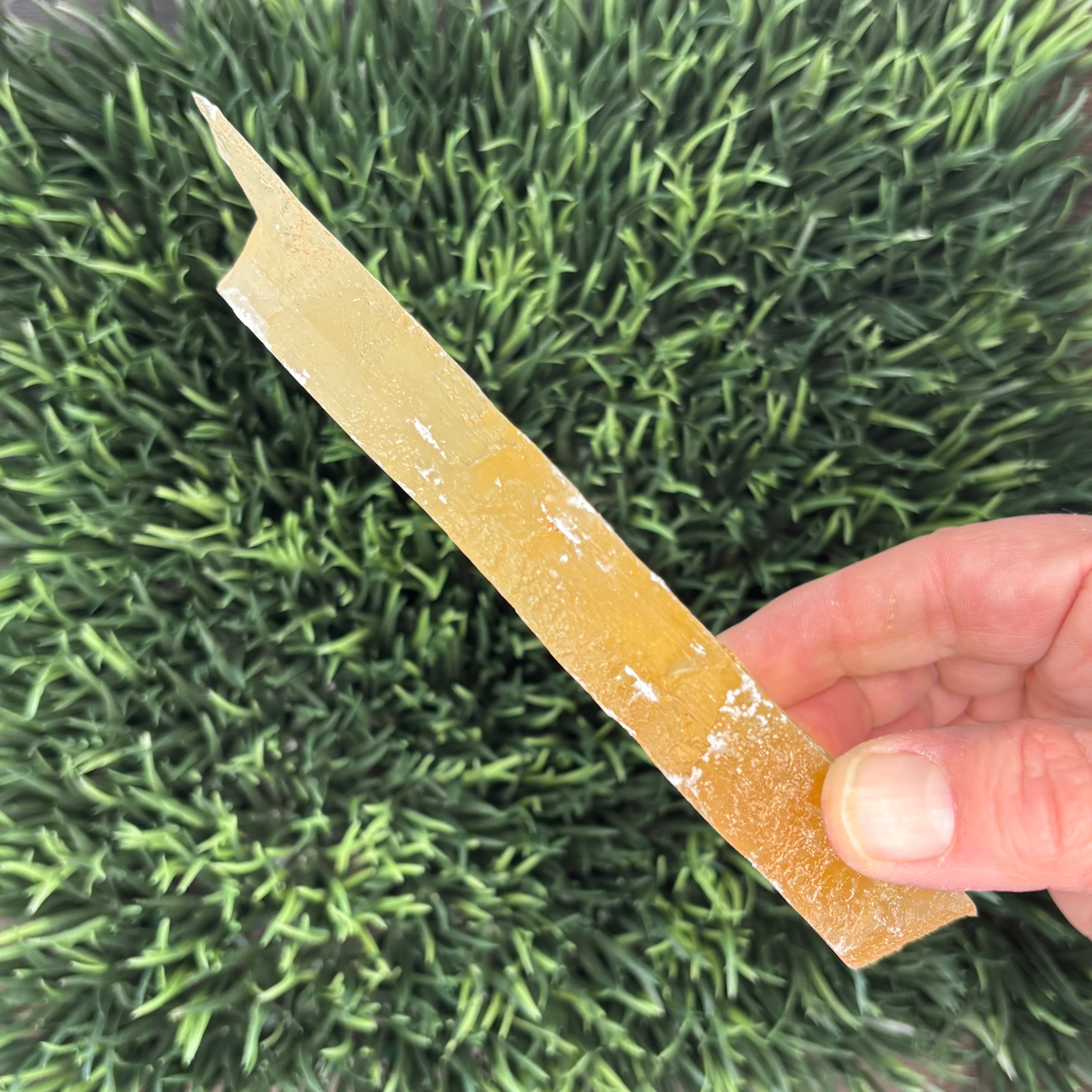 Golden Selenite Window - 561