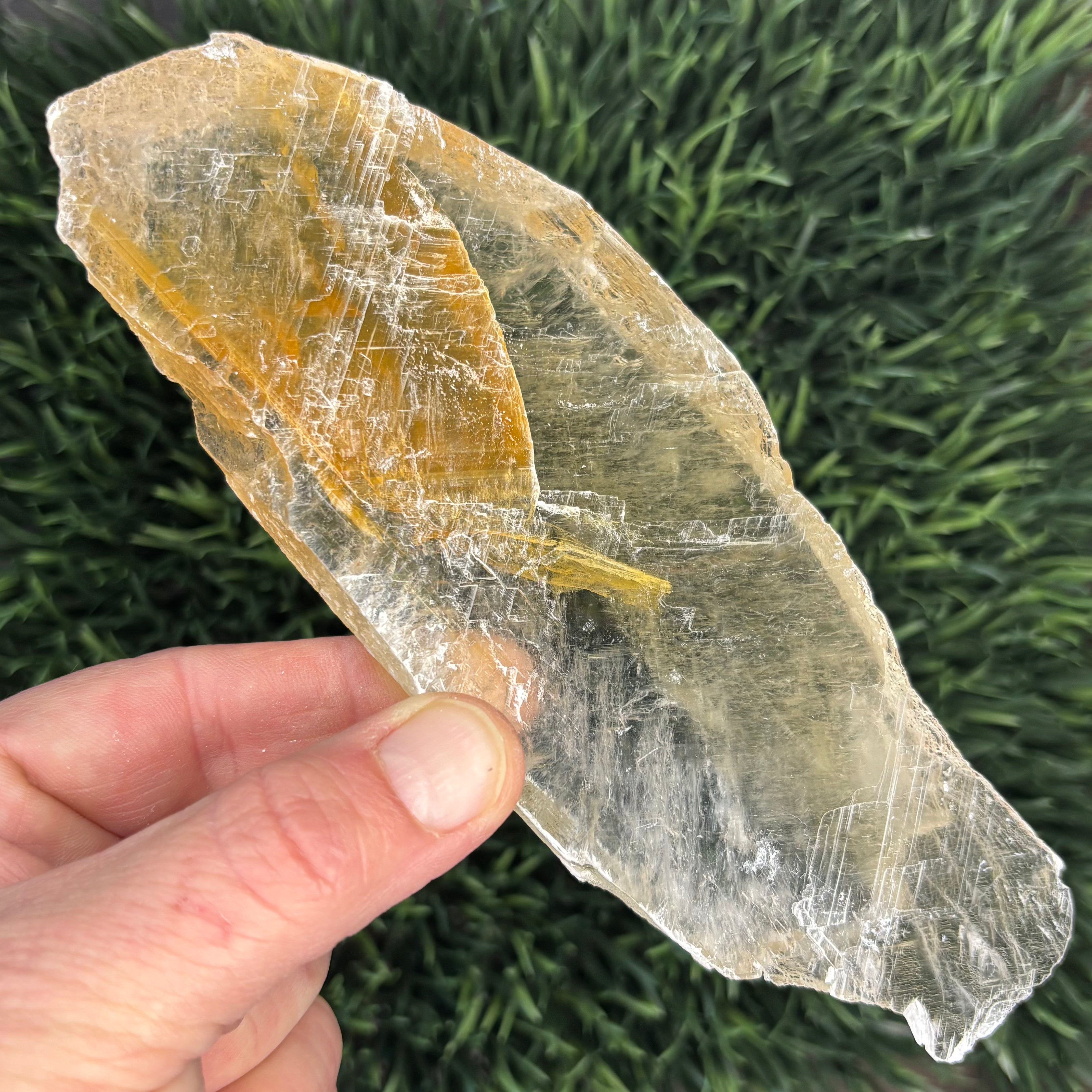 Golden Selenite Window - 561