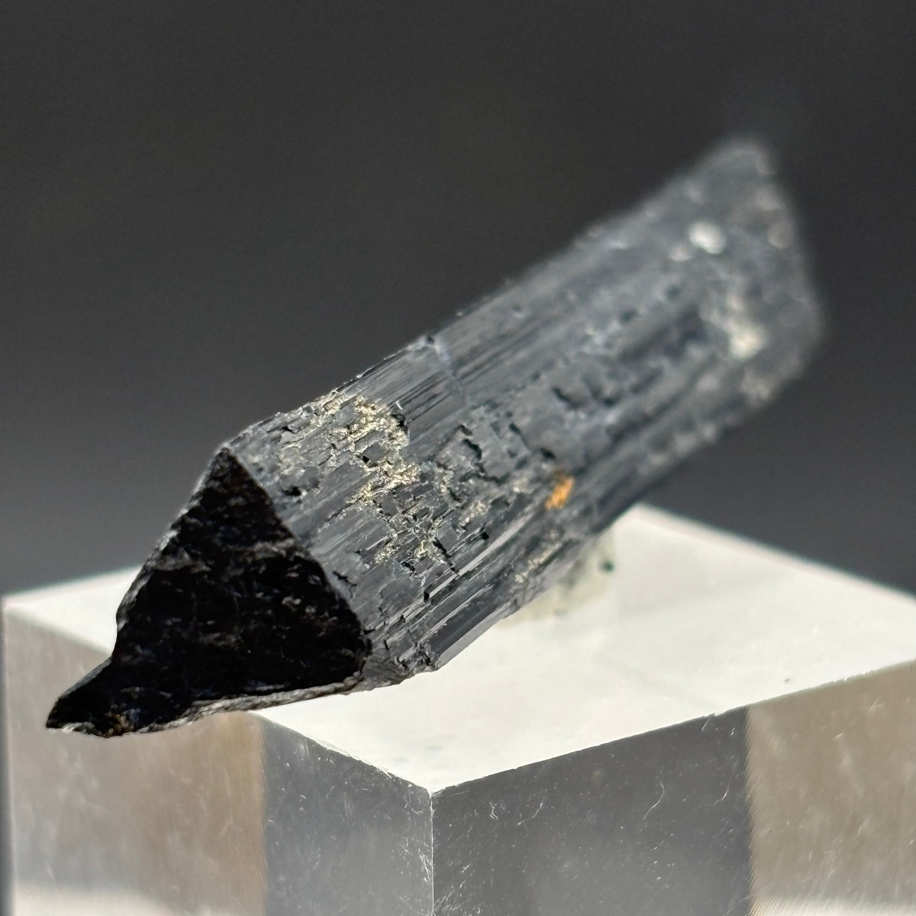 Black Tourmaline, Erongo Mountain - 248