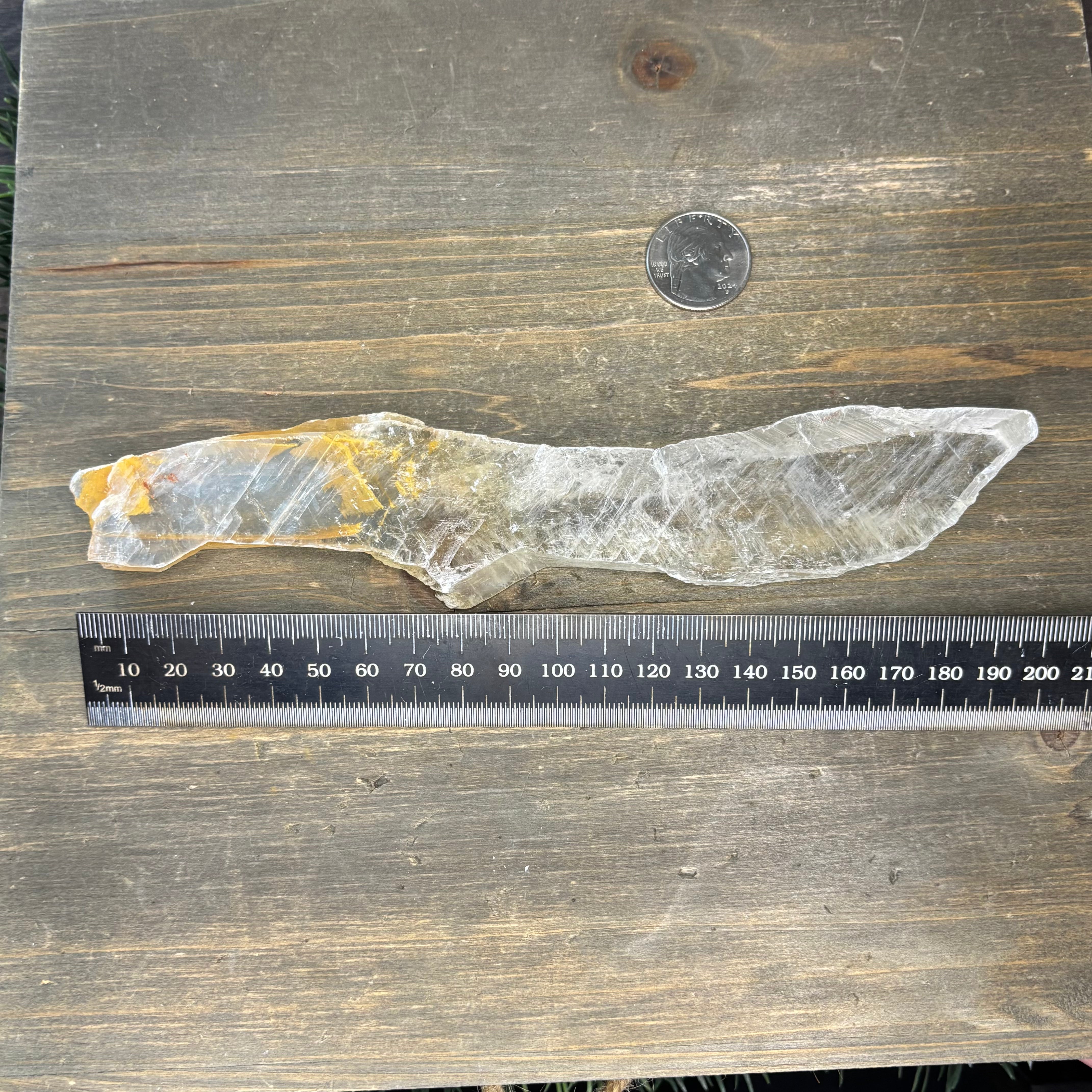 Golden Selenite Window - 563