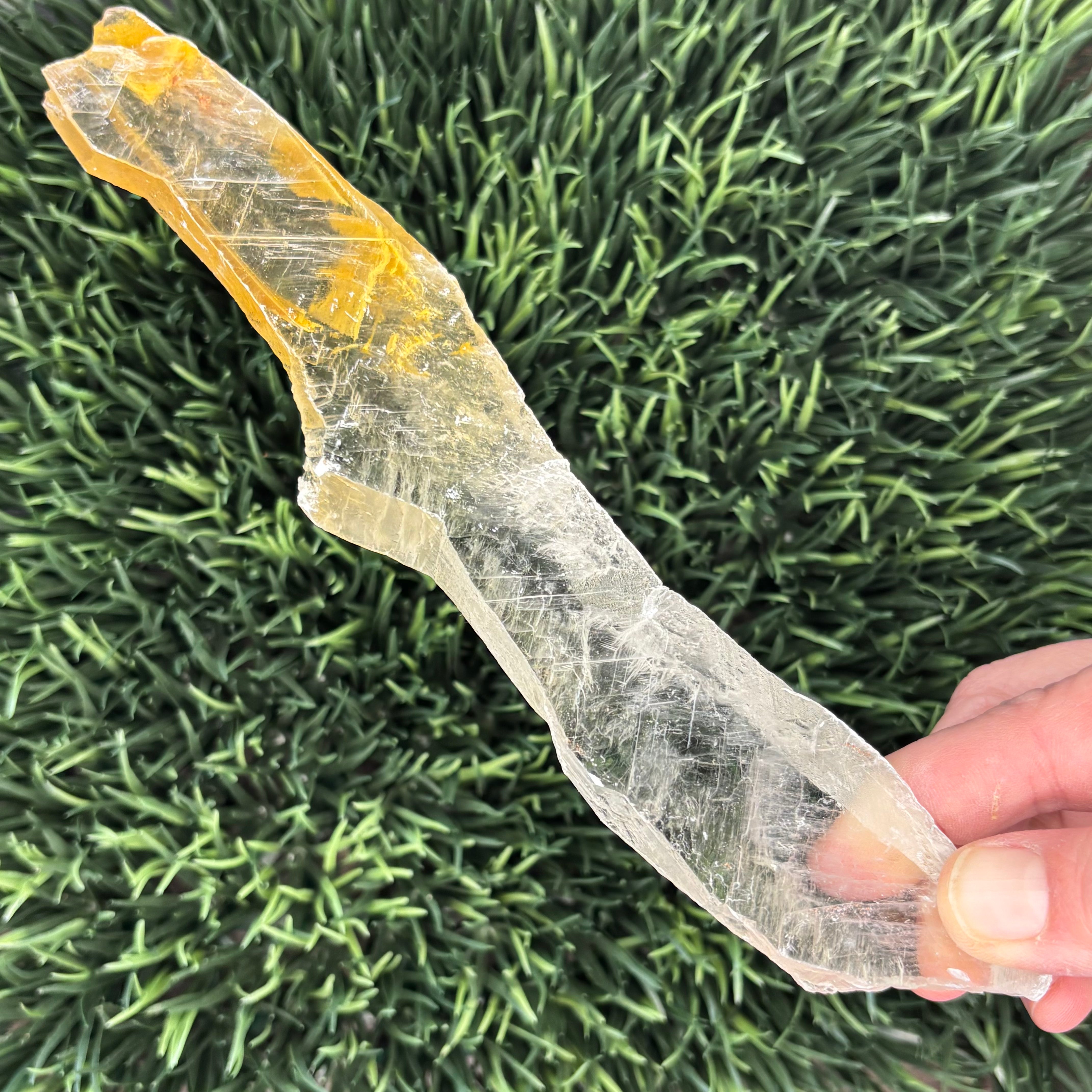 Golden Selenite Window - 563