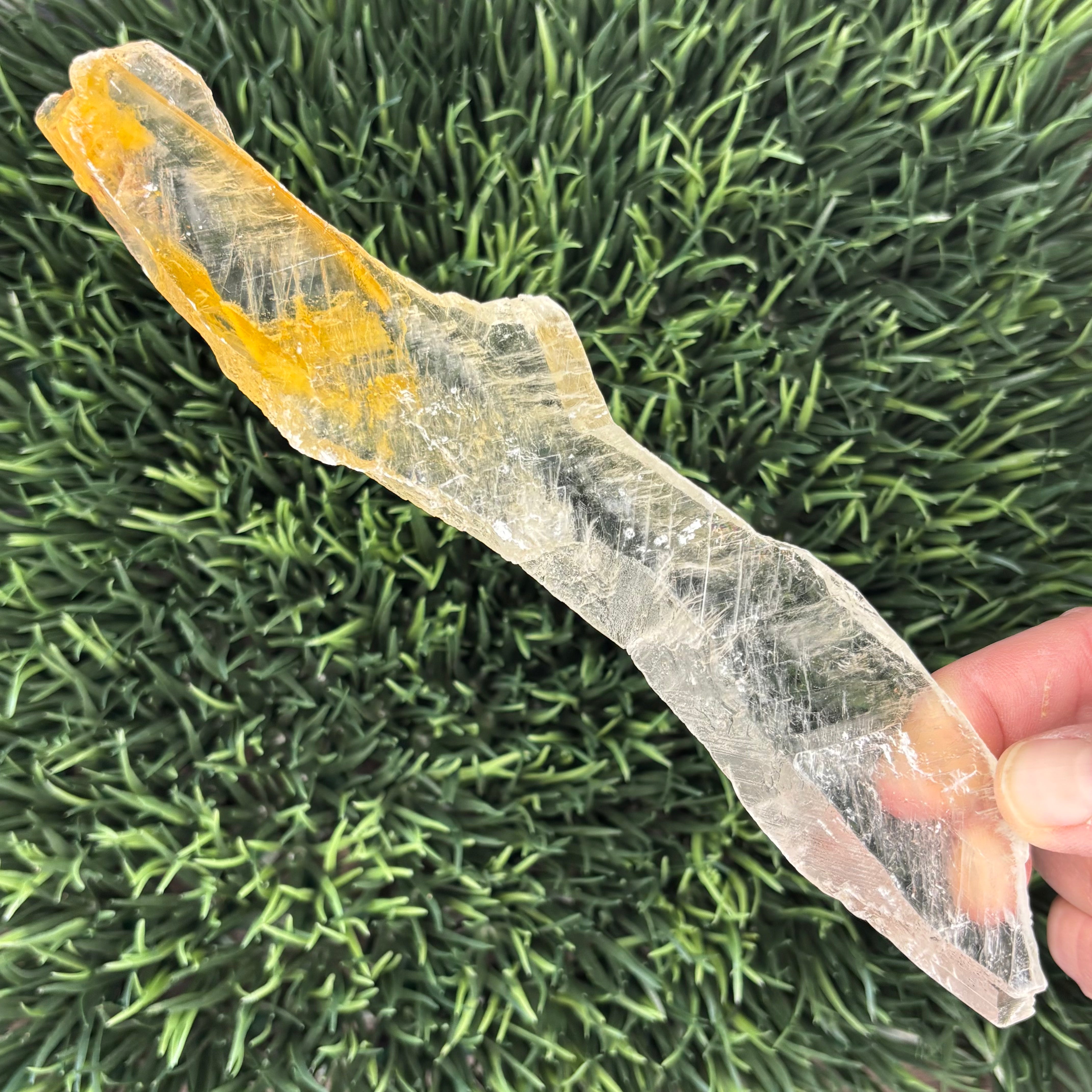 Golden Selenite Window - 563