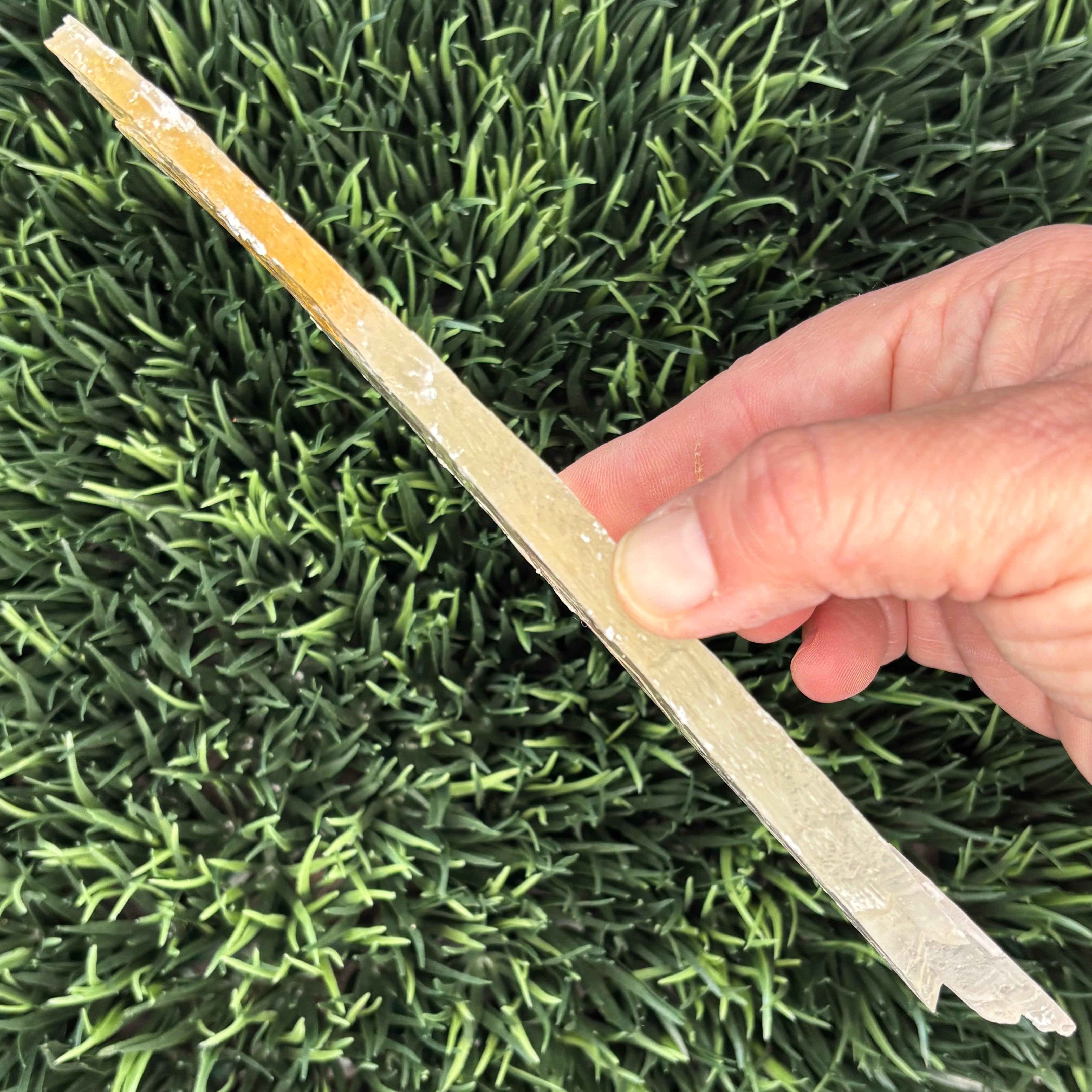 Golden Selenite Window - 565