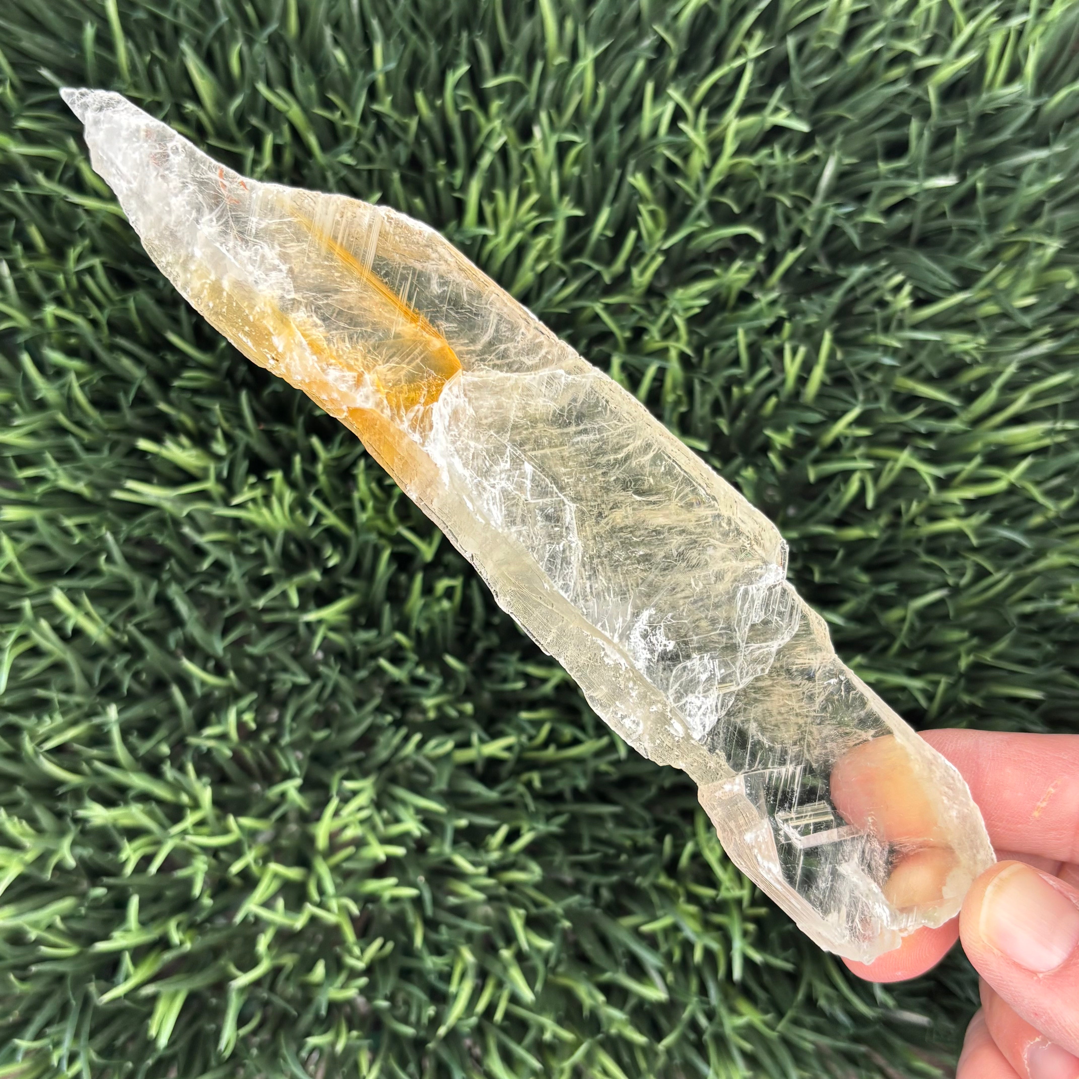 Golden Selenite Window - 566